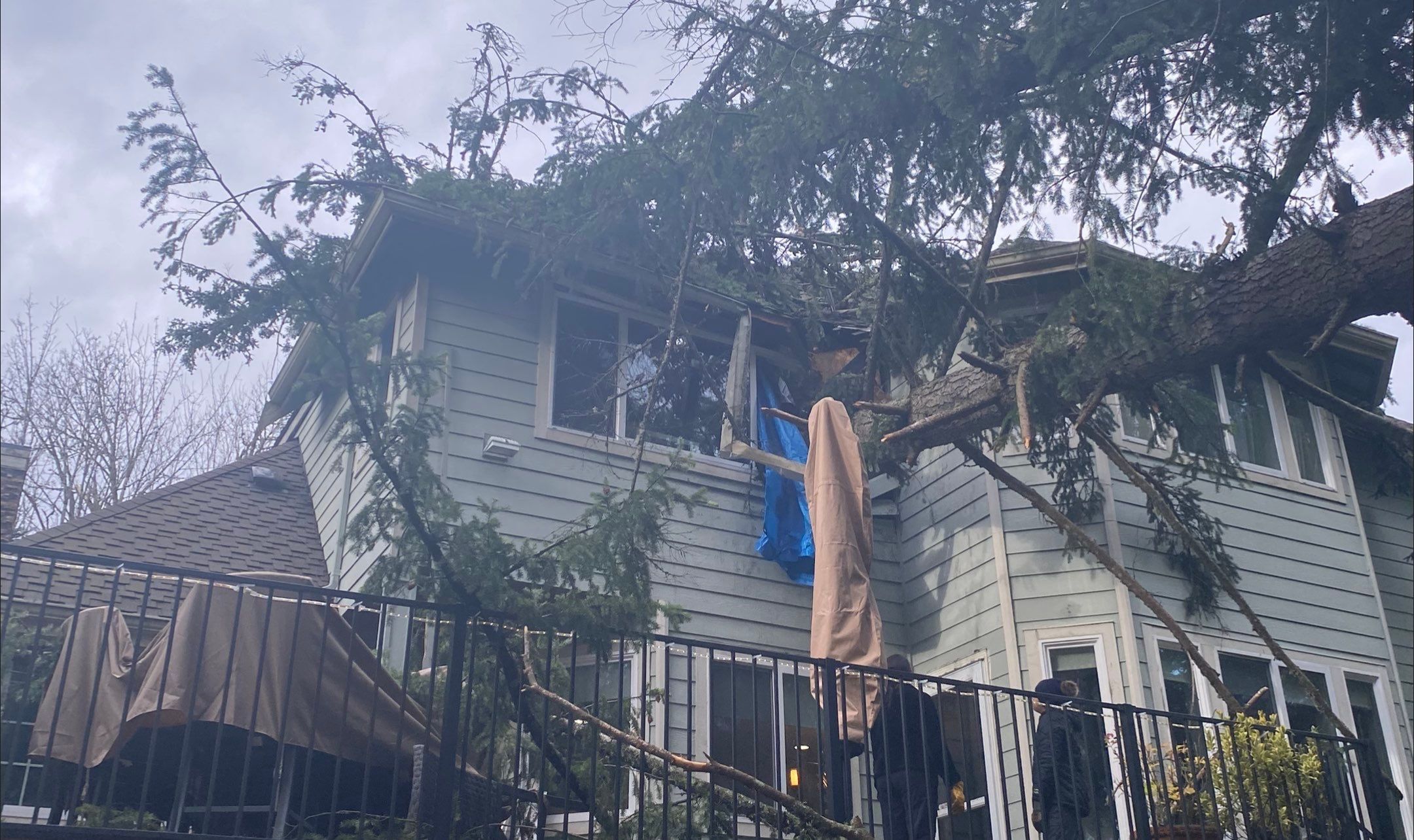 Tree Strike Roof Replacement in Sammamish by RoofSmart