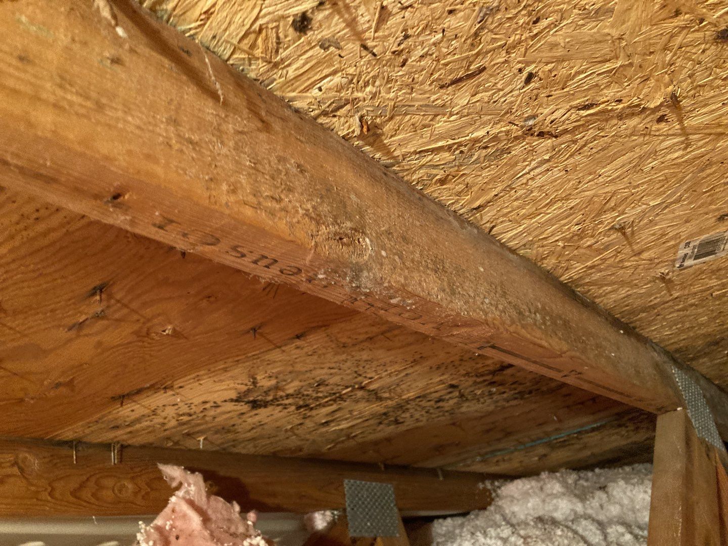 Mold Remediation in Attic by Accountable Home Services