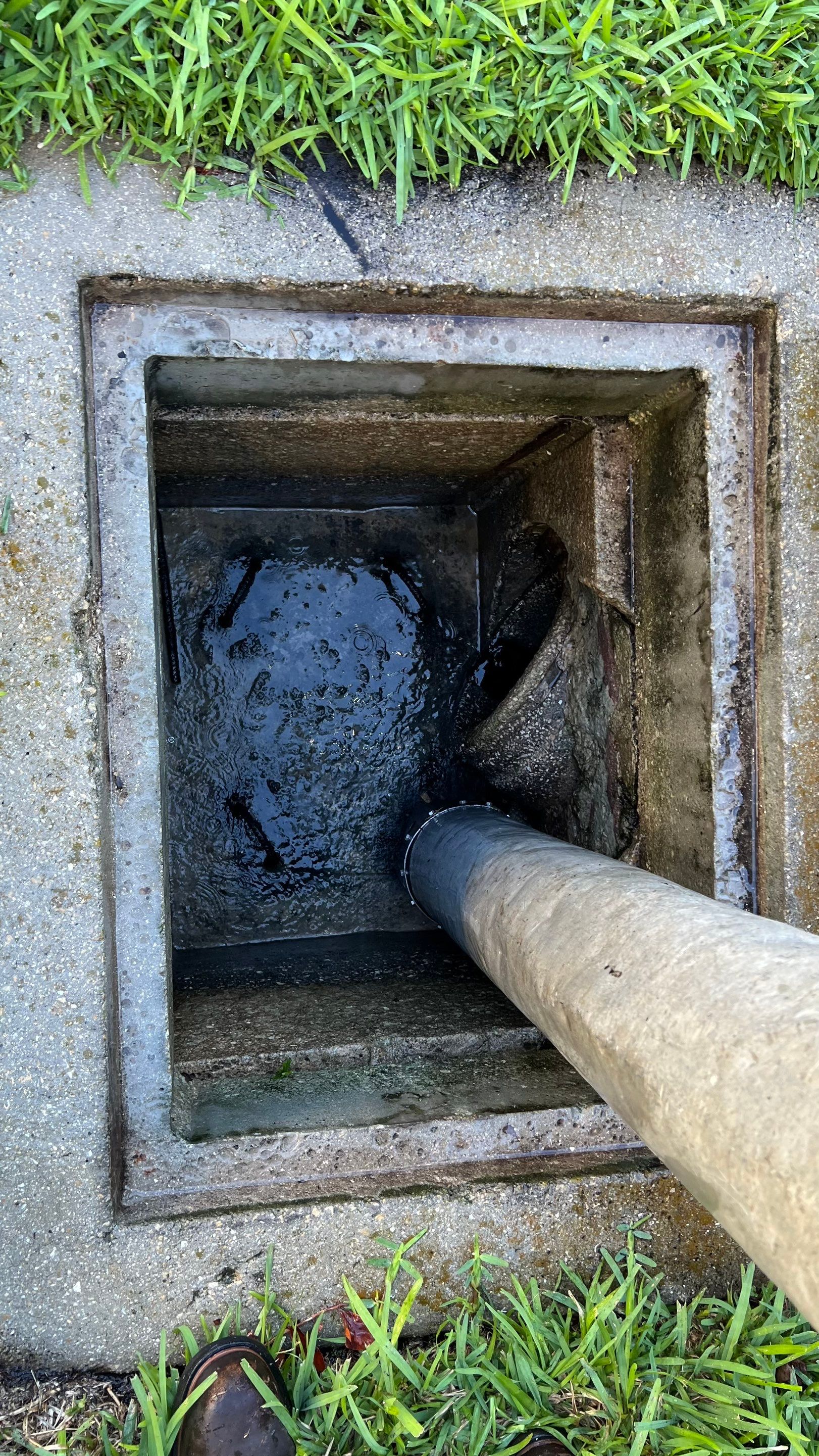 Stromwater System Maintenance at Bill Smith Appliances / Critter Cafe Marco Island Catch Basin by Don Mar, Inc. Storm Water Solutions