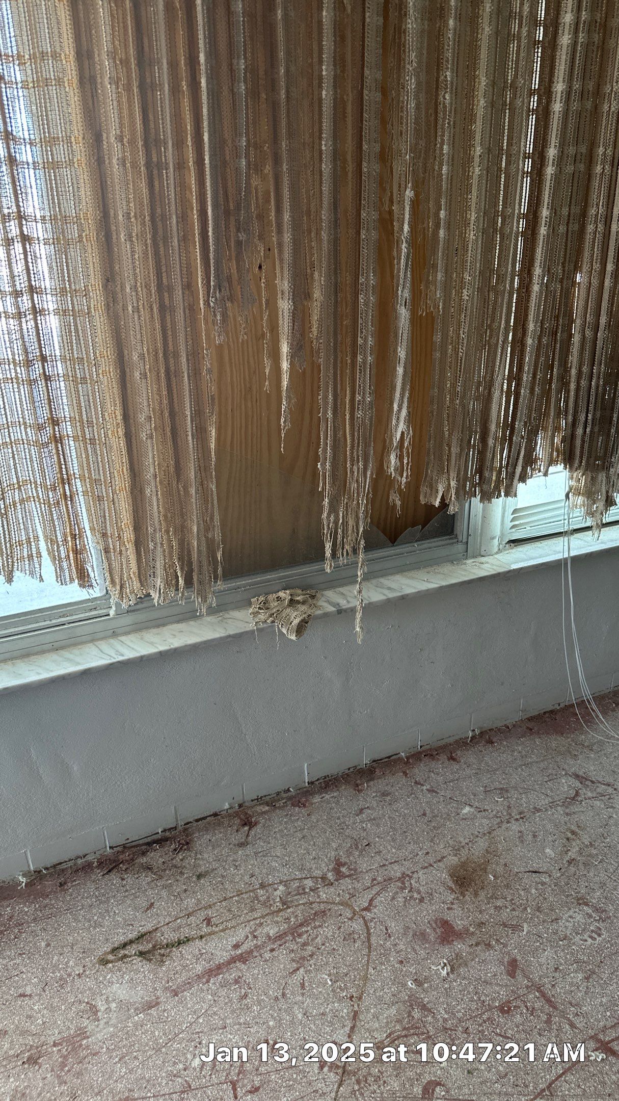 Mold Assessment using IR Camera, Moisture Meter, Air Cassette samples and Tape lifts by Building performance Solutions LLC