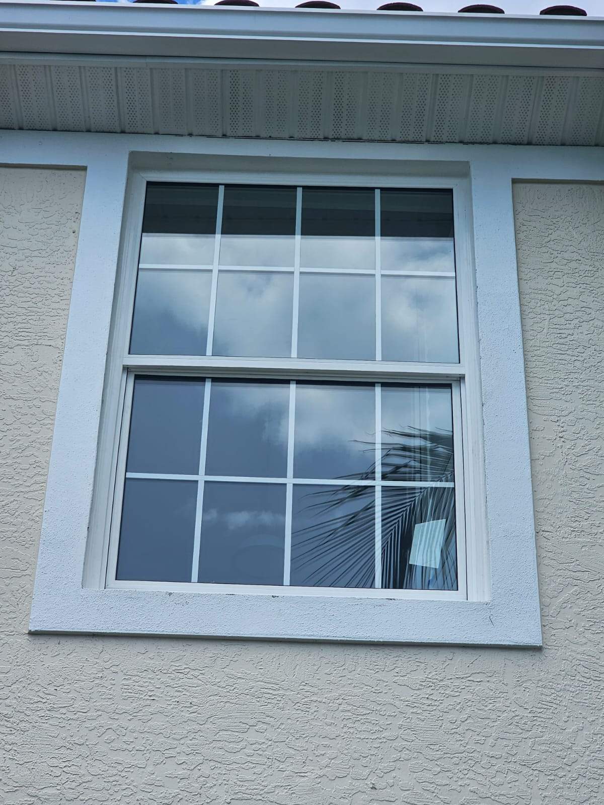 PGT Vinyl & CGI Aluminum by Windows For Life