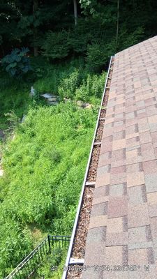 Comprehensive Gutter Cleaning and Debris Removal in Butler