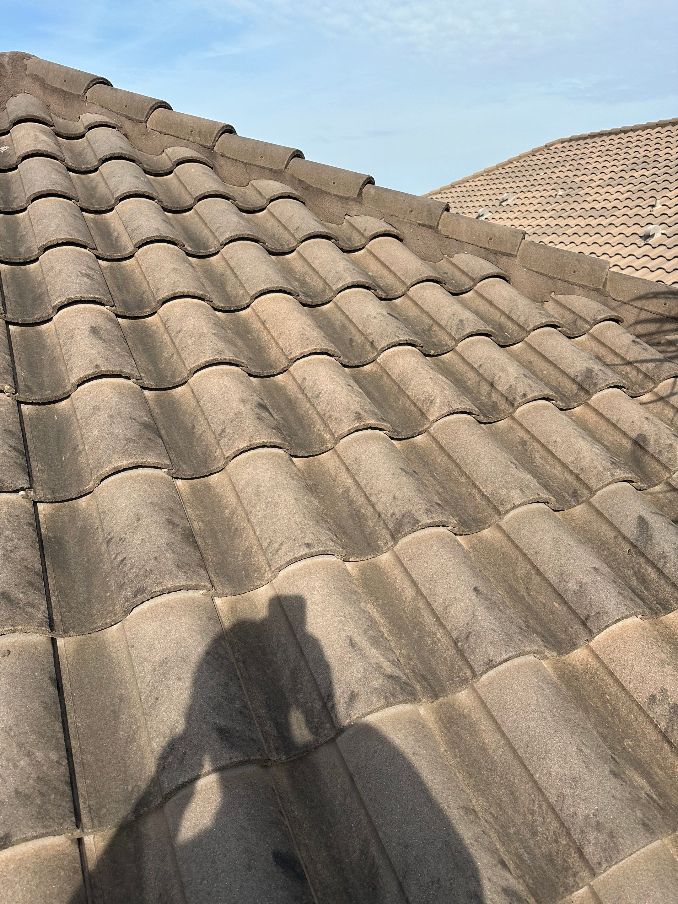 Concrete Tile Roof, Paver Pool Deck, Screen Enclosure & Driveway Cleaning in Artisan Lakes Esplanade, Palmetto, FL | Sunshine AquaWash by Sunshine AquaWash
