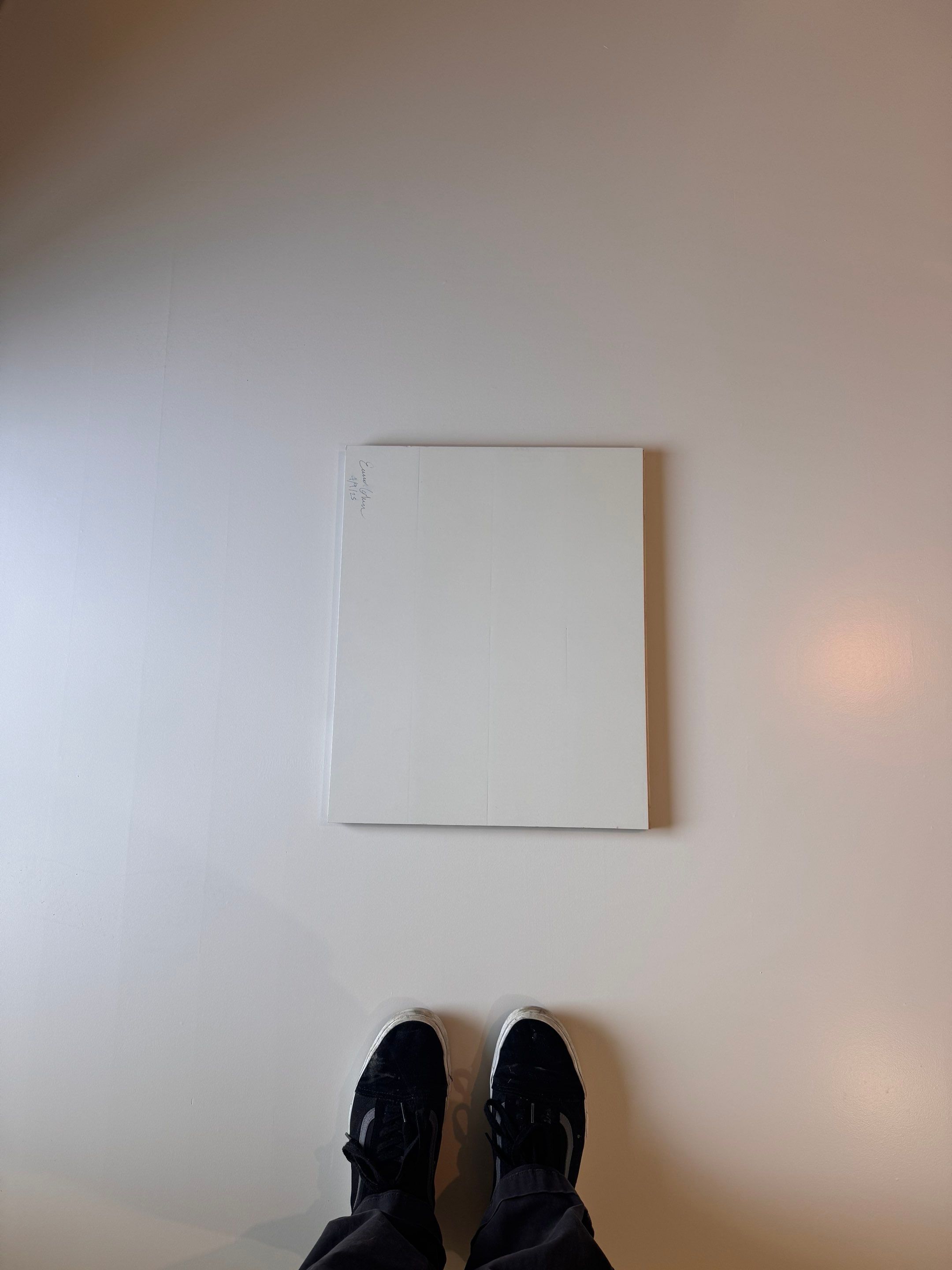 Paint the brand new maple floor...WHITE! Designer-driven project is a showstopper! by RTBaldwin Hardwood Floors