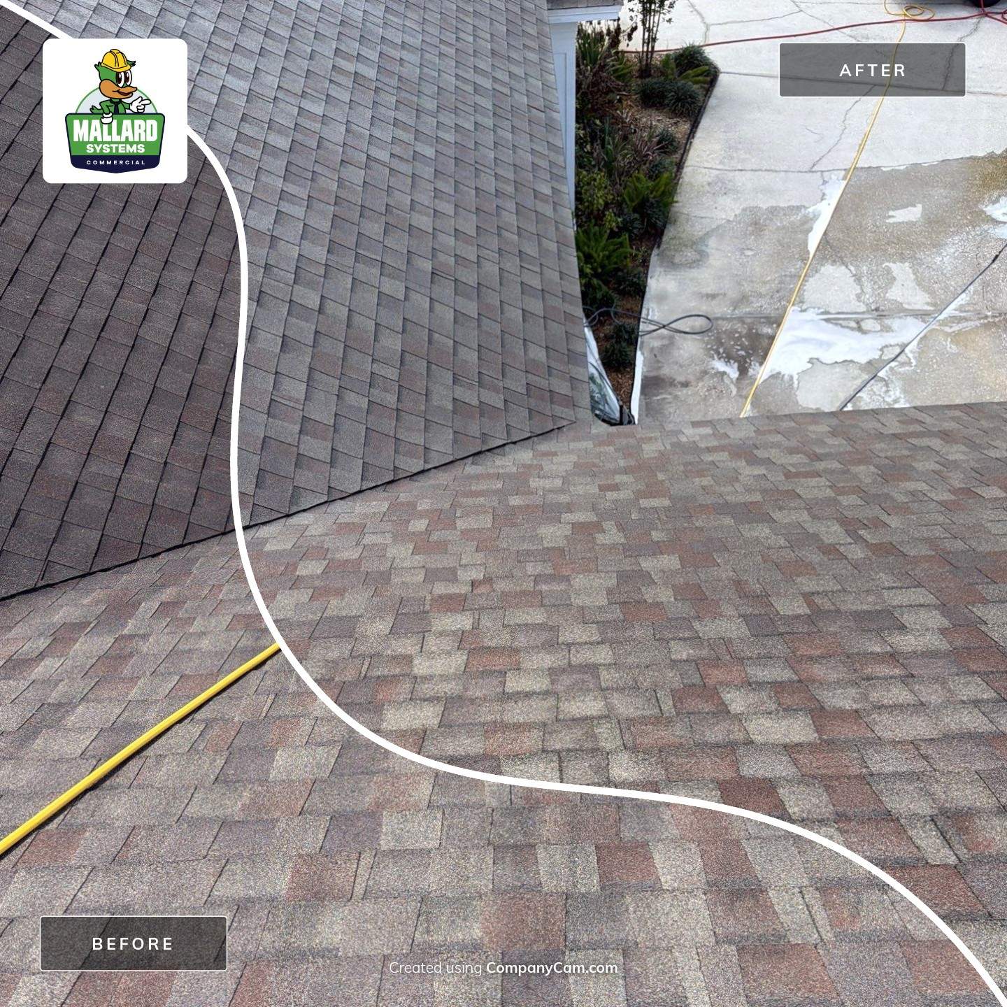 Shingle Roof Cleaning by Mallard Systems