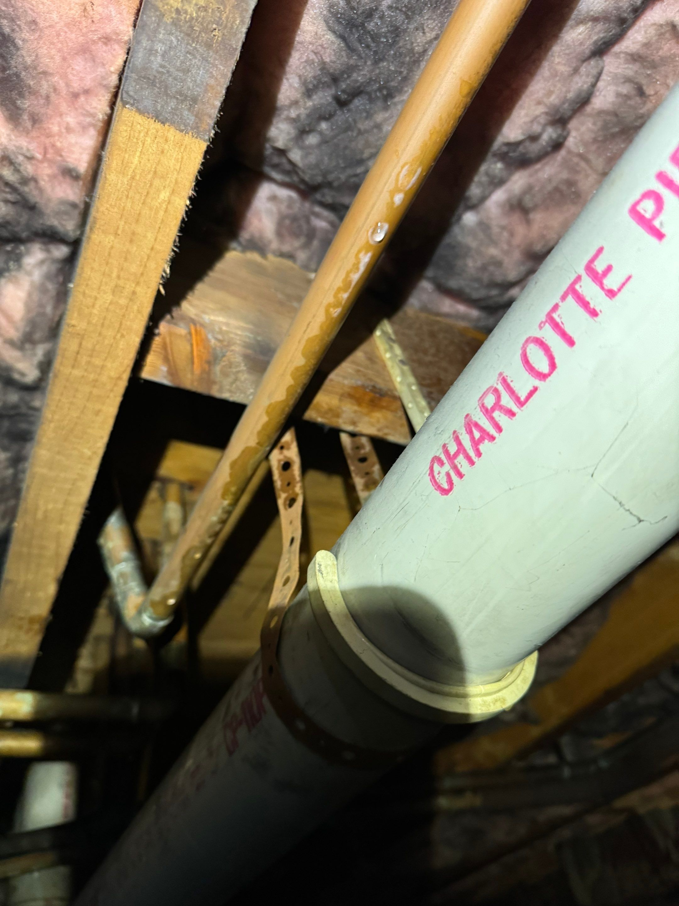 Basement & Livingroom Remediation by Home Guarantee, LLC