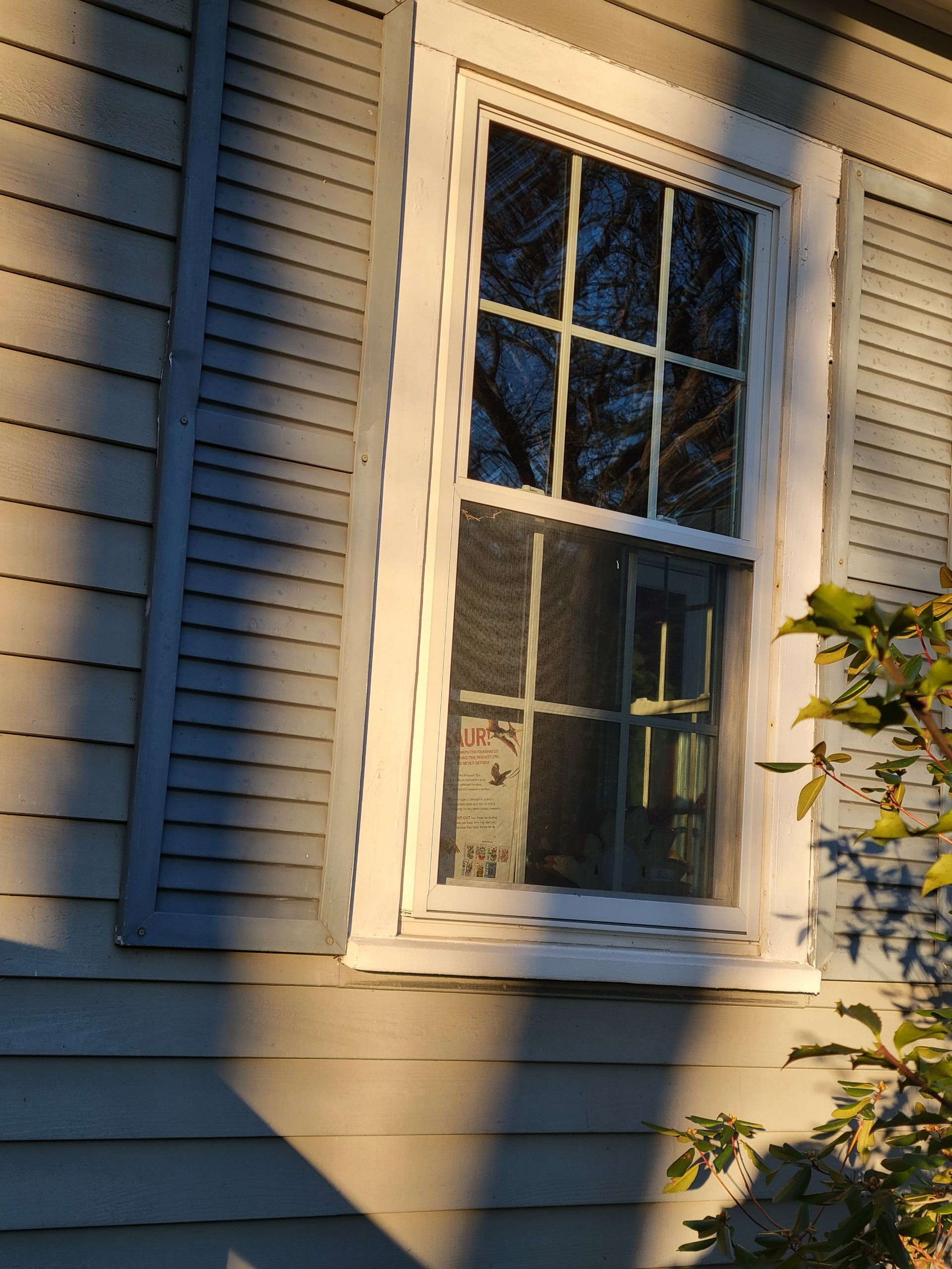 Roofing & Windows | Littleton by Mighty Dog Roofing of Greater Middlesex County