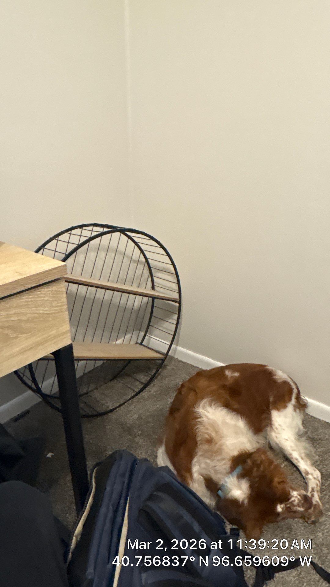 Interior Room Refurbishment in Lincoln, NE by CompanyCam | Account Management Demo Account