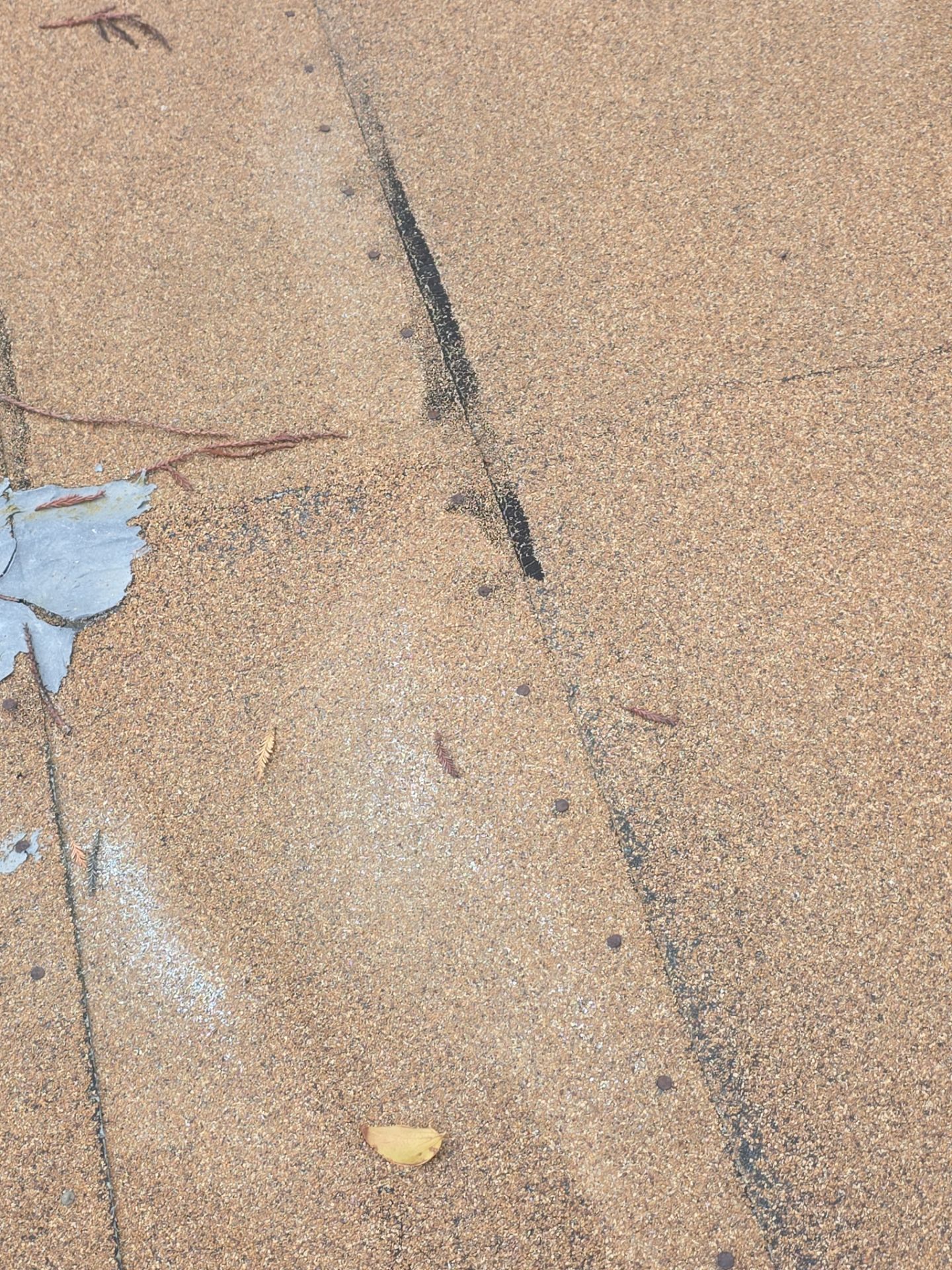 Roof Rejuvenation using Roof Maxx Treatment by Roof Maxx of Folsom