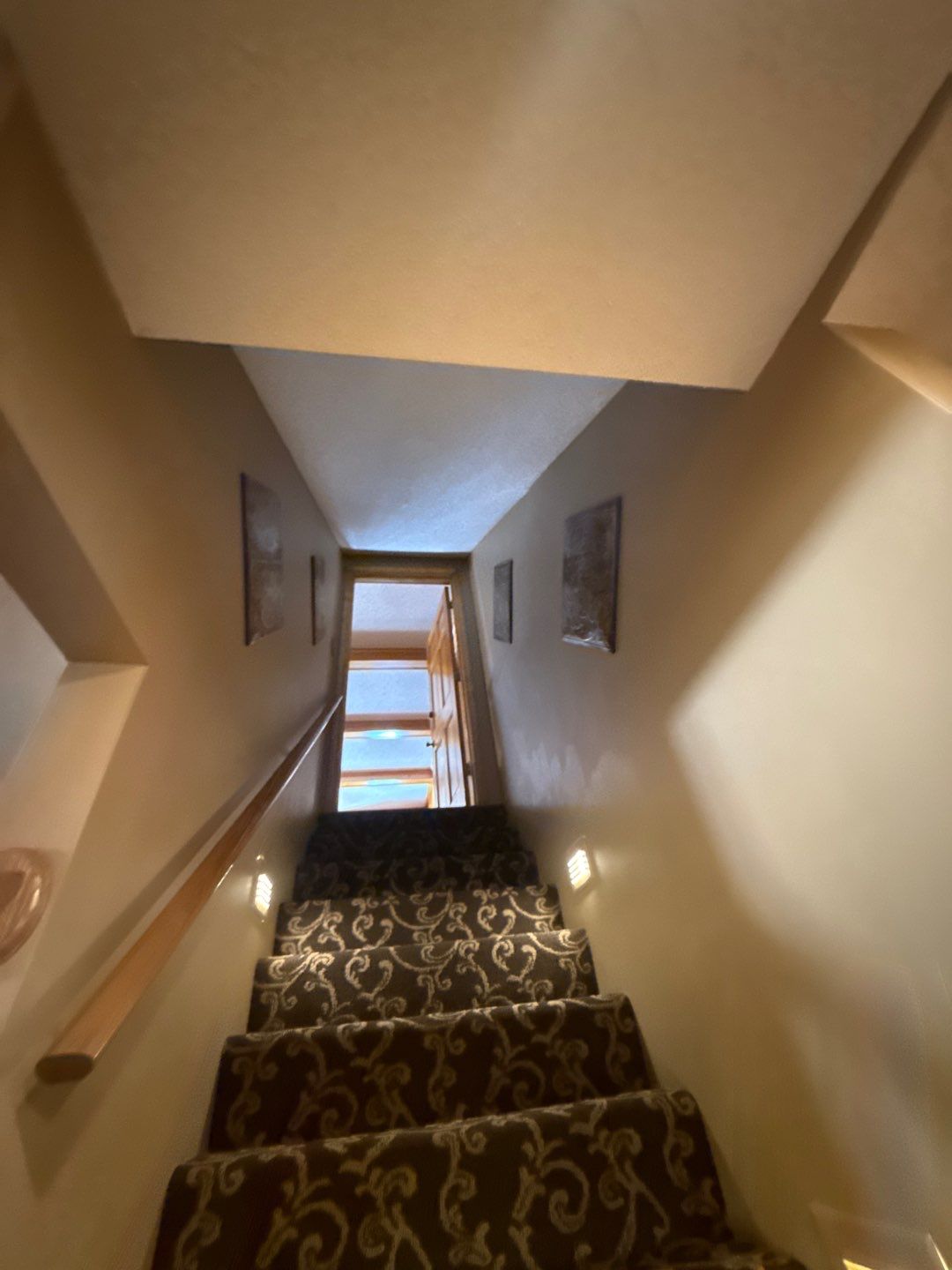Level Up Your Ceiling: Texture Removal & Refinishing by Cougar Painting