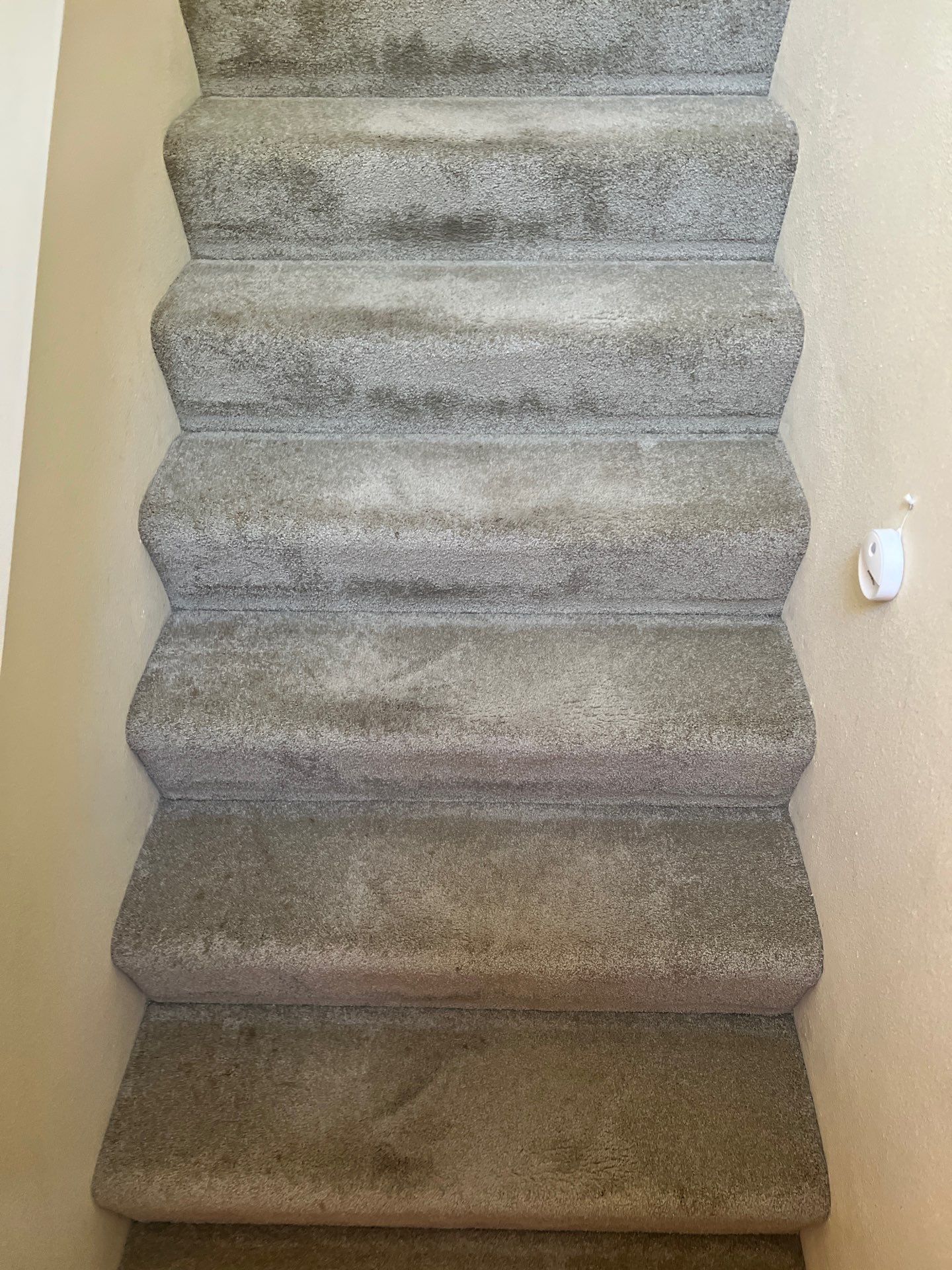 Maid Service House Cleaning in West Linn by Cloud 9 Professional Cleaning Services