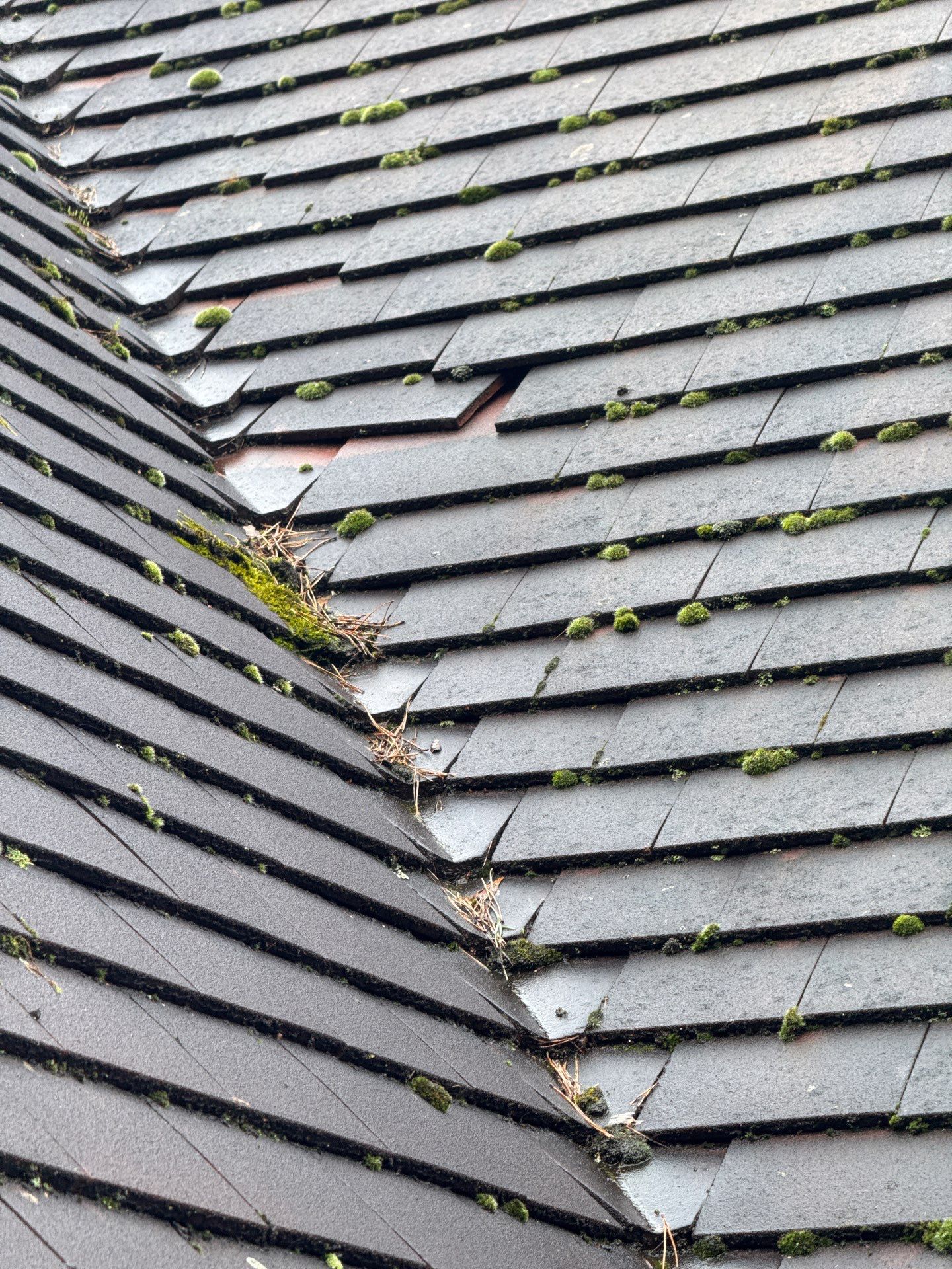 Roof - Driveway - Patio Clean using 18inch Whirlaway FSC by Ges Exterior Cleaning ltd