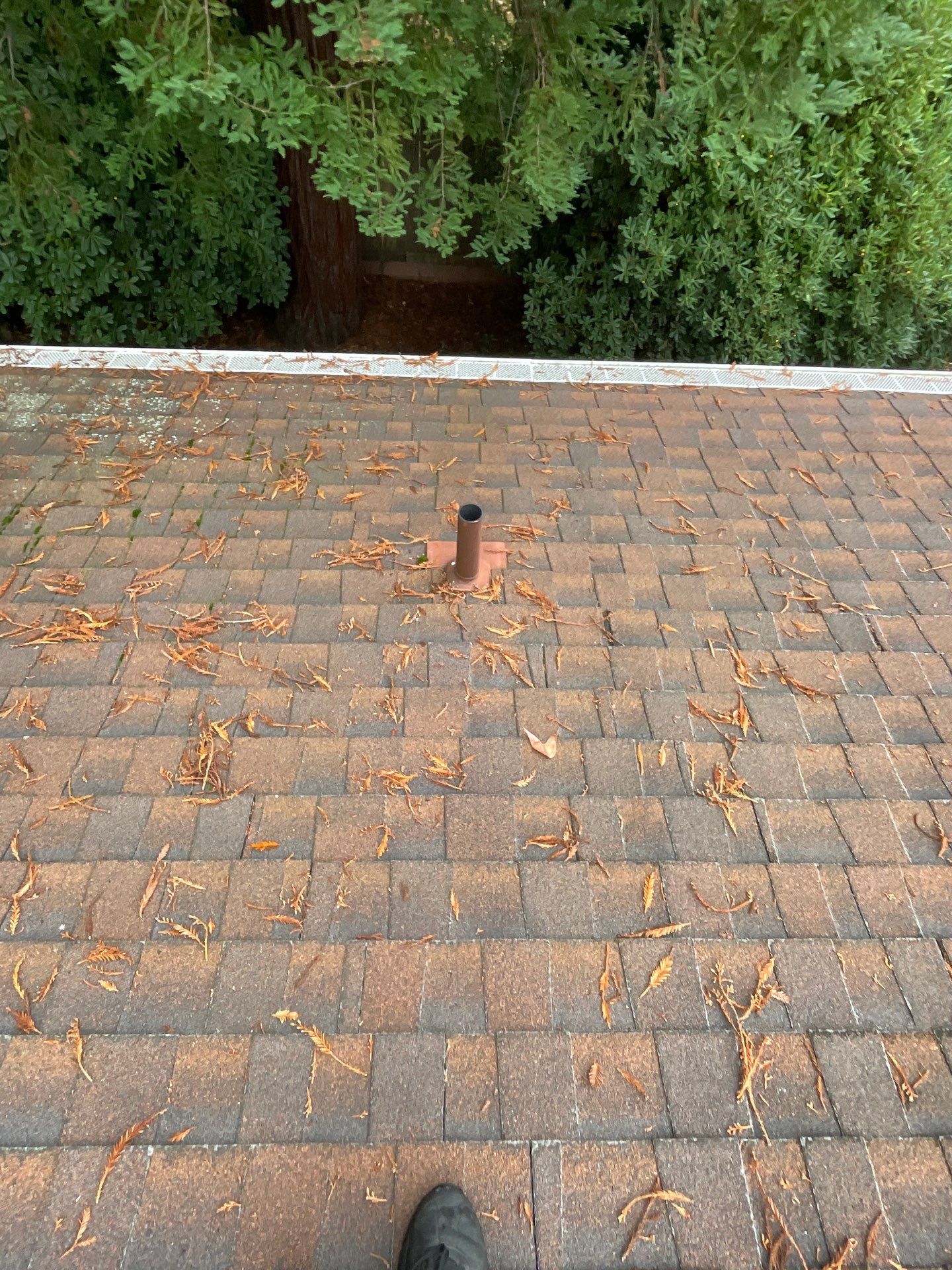 Roof Rejuvenation using Roof Maxx Treatment by Roof Maxx of Folsom