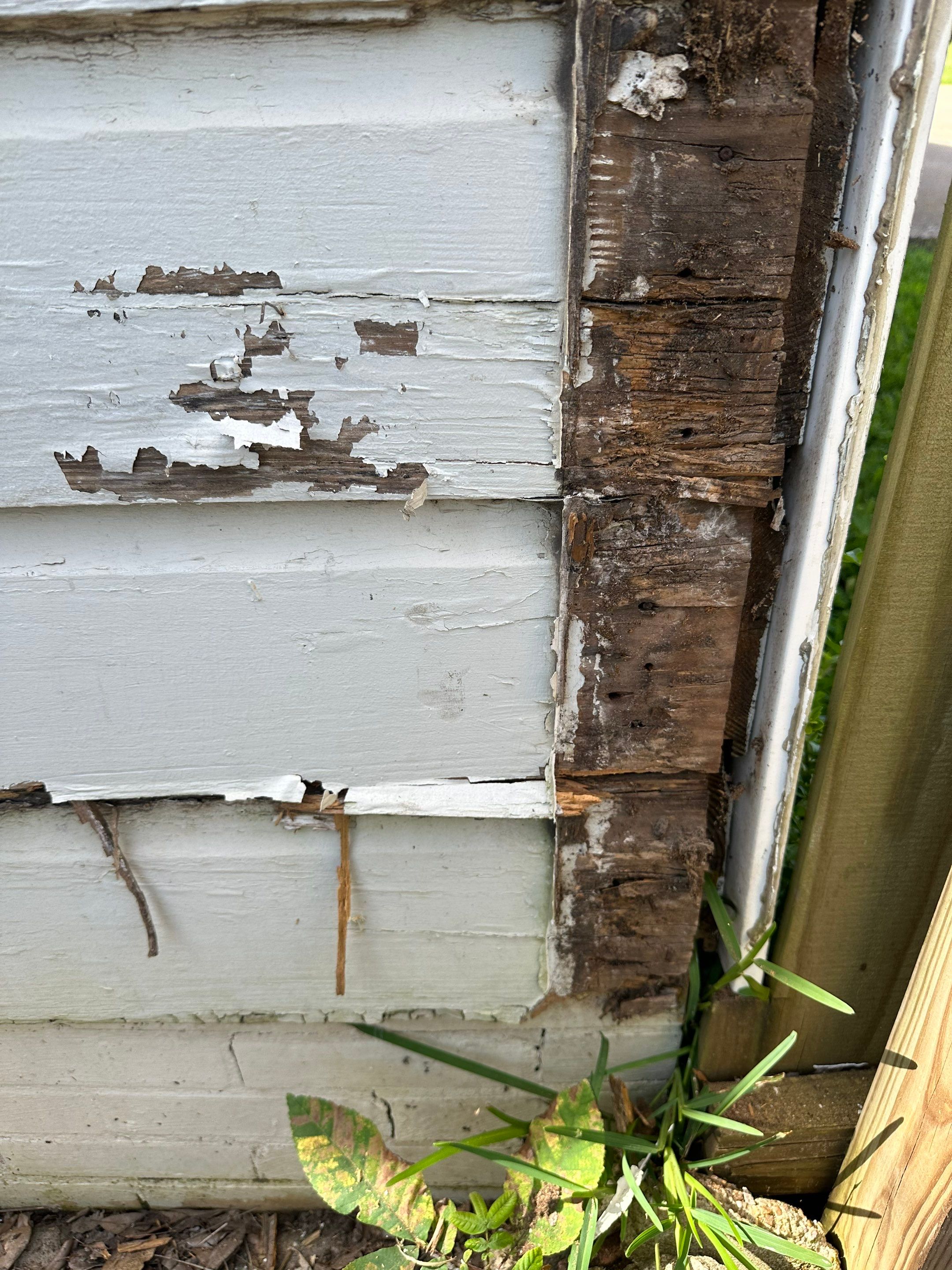 Historic Window & Shop Restoration in the Azalea District – Tyler, Texas by Quality Coats Painting