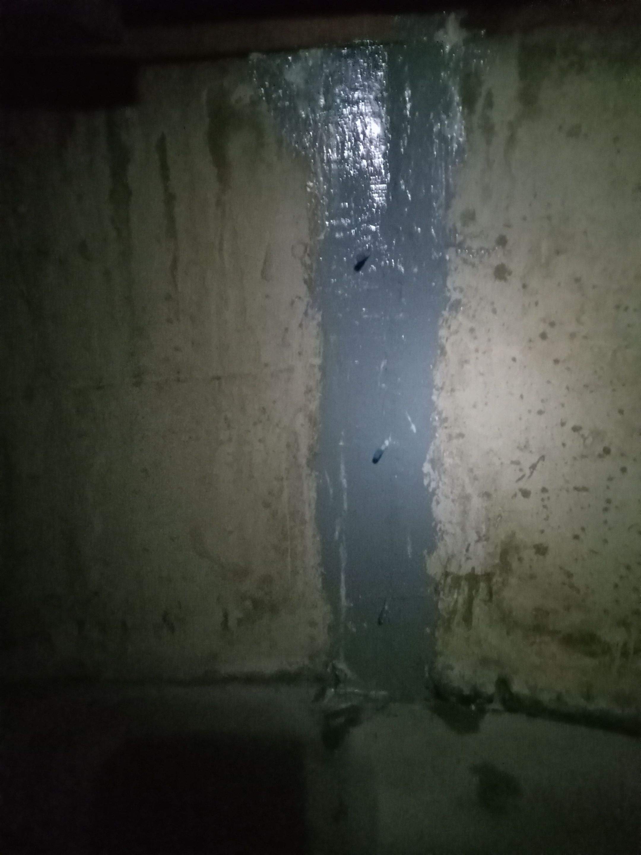 Foundation Crack Injection ā Crawl Space by Allied Water Services