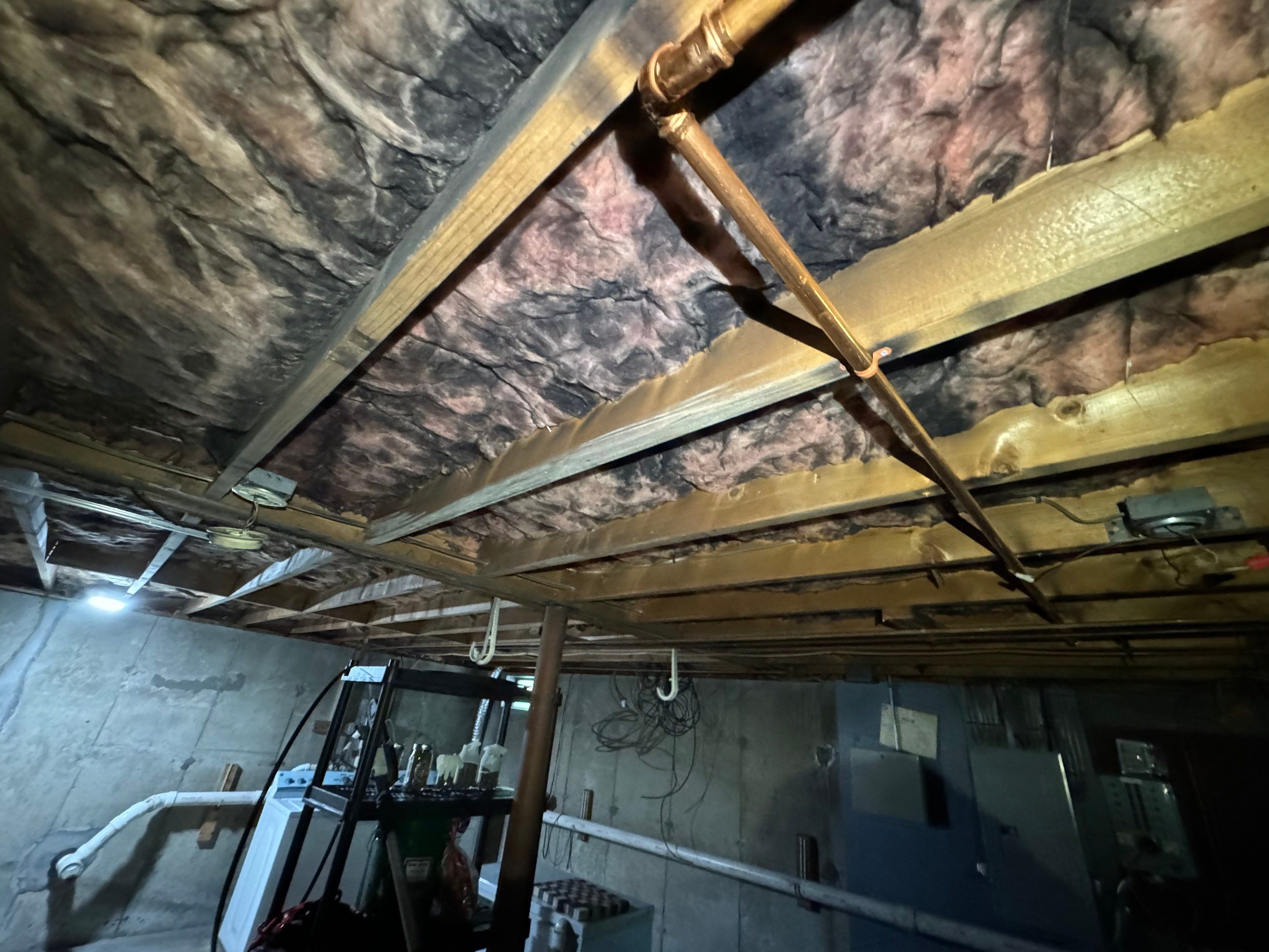 Basement & Livingroom Remediation by Home Guarantee, LLC
