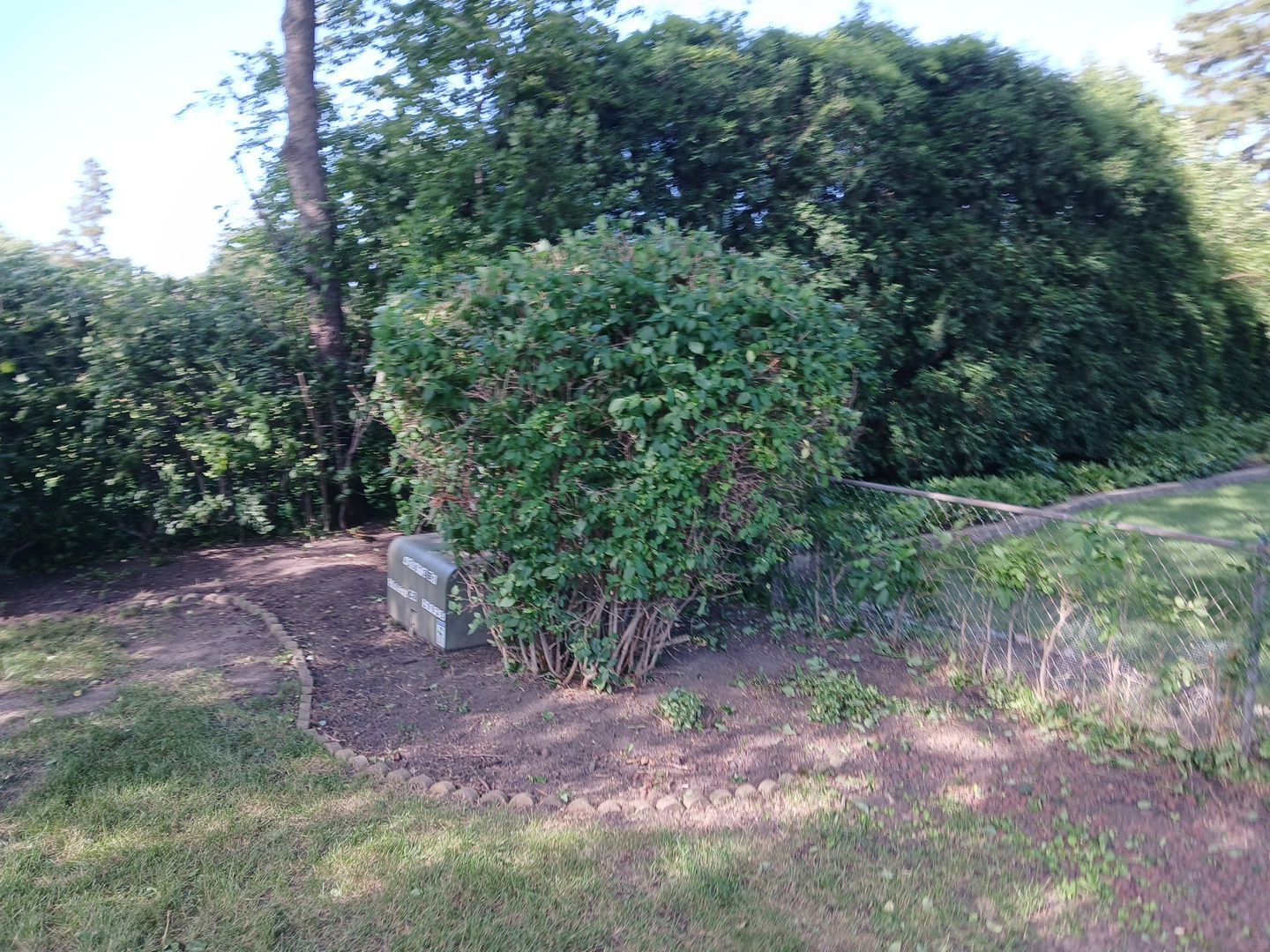 Andrew L. - Arlington Heights, IL by A&N