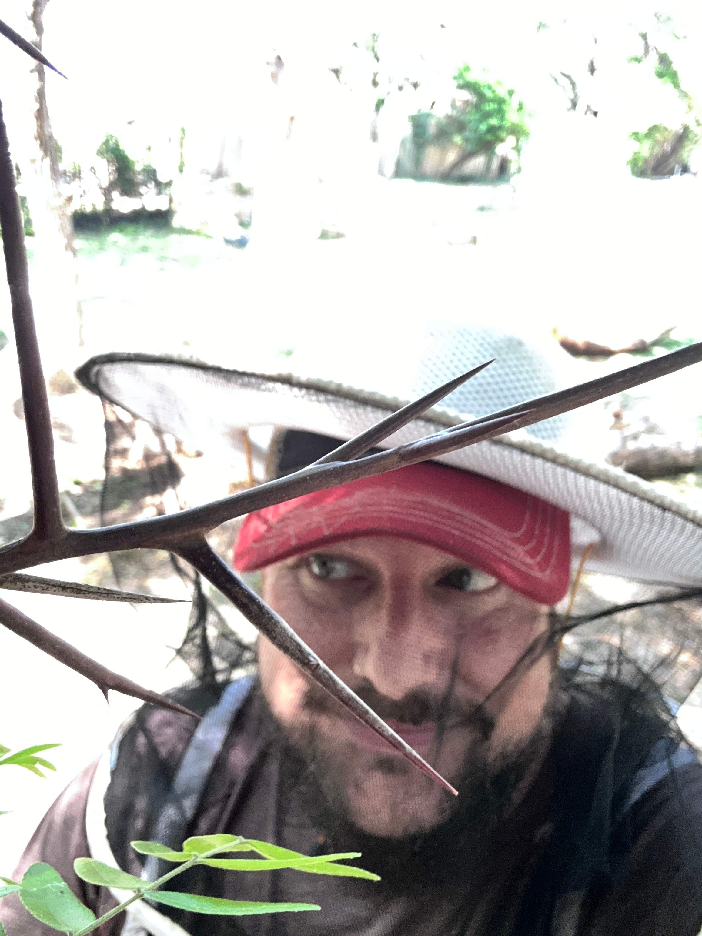 Two More Trees, One More Yard by Rockwall Honey Bee Company