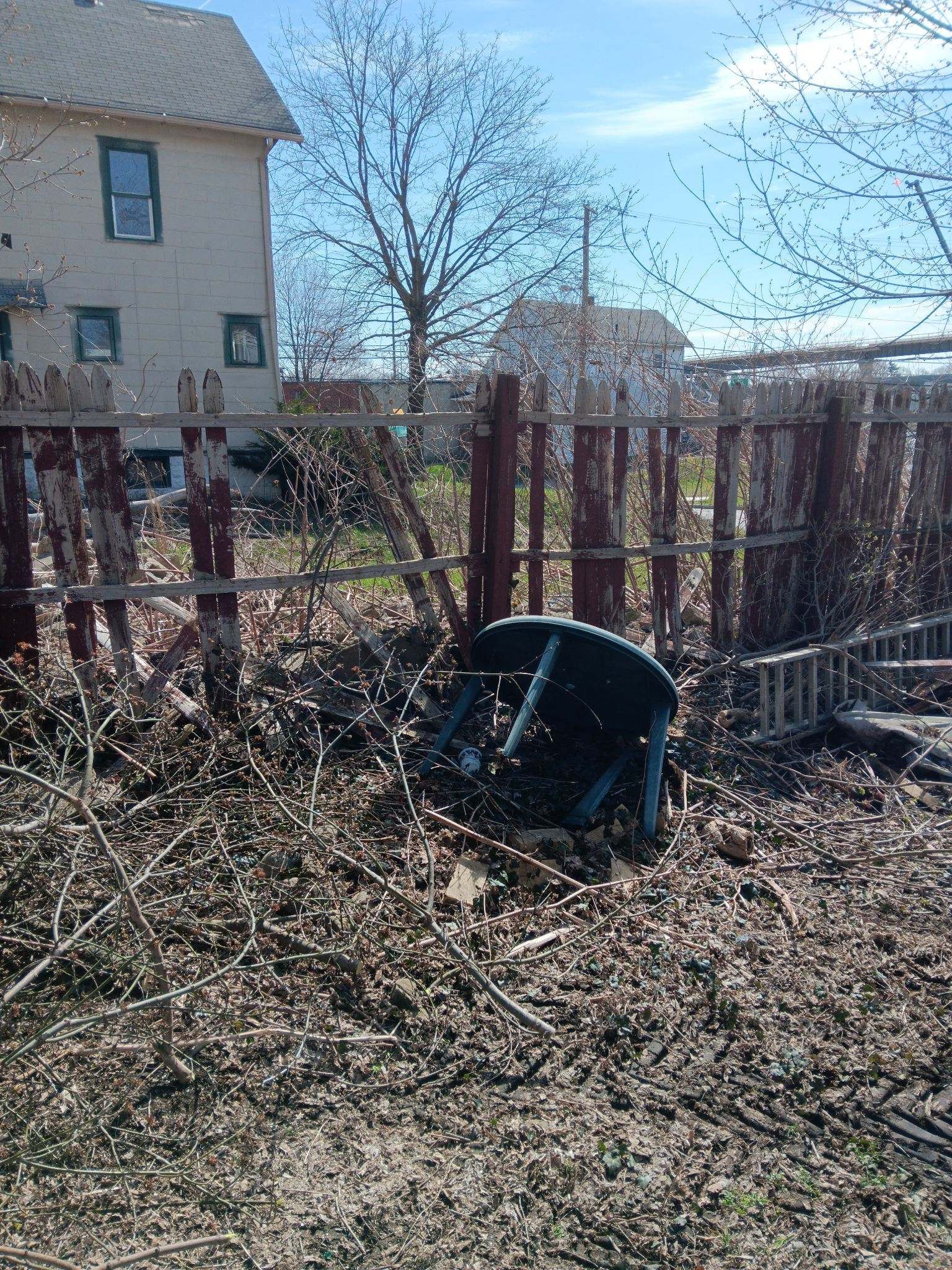 Tree Trimming using Tree Pruing by Mike Jones & Sons Tree Service LLC 