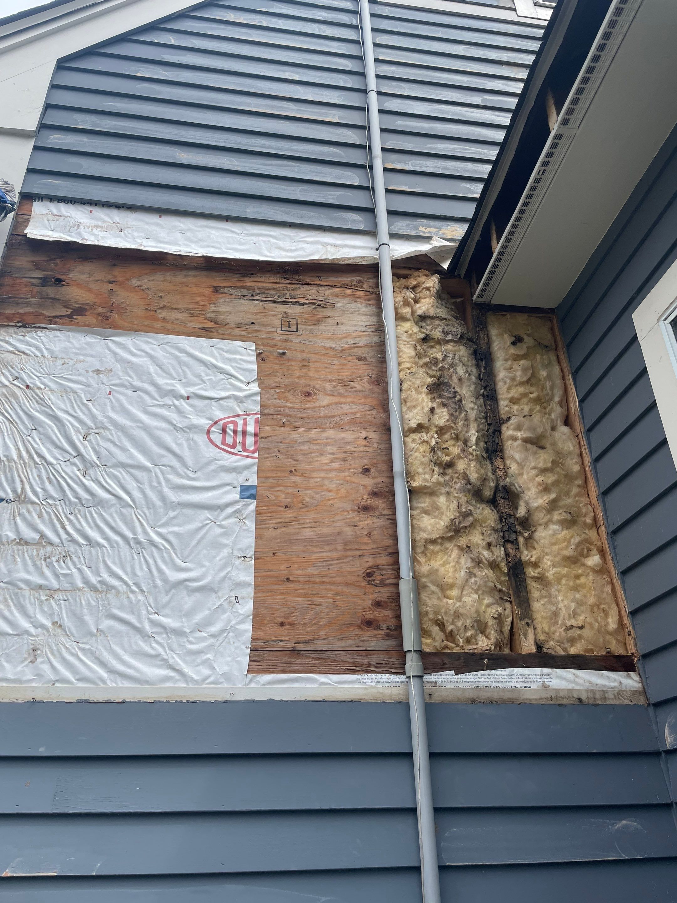 Exterior Painting & Carpentry Repairs by EXCELLENCE | CARTO