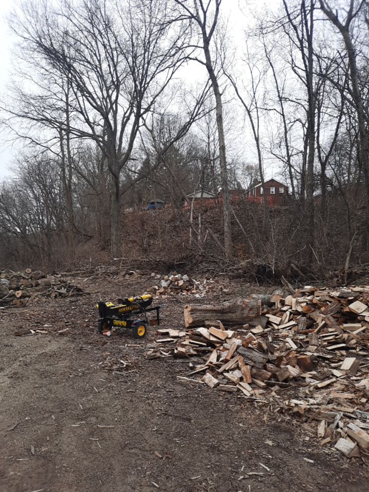 Tree Removal using Tree Removal by Mike Jones & Sons Tree Service LLC 