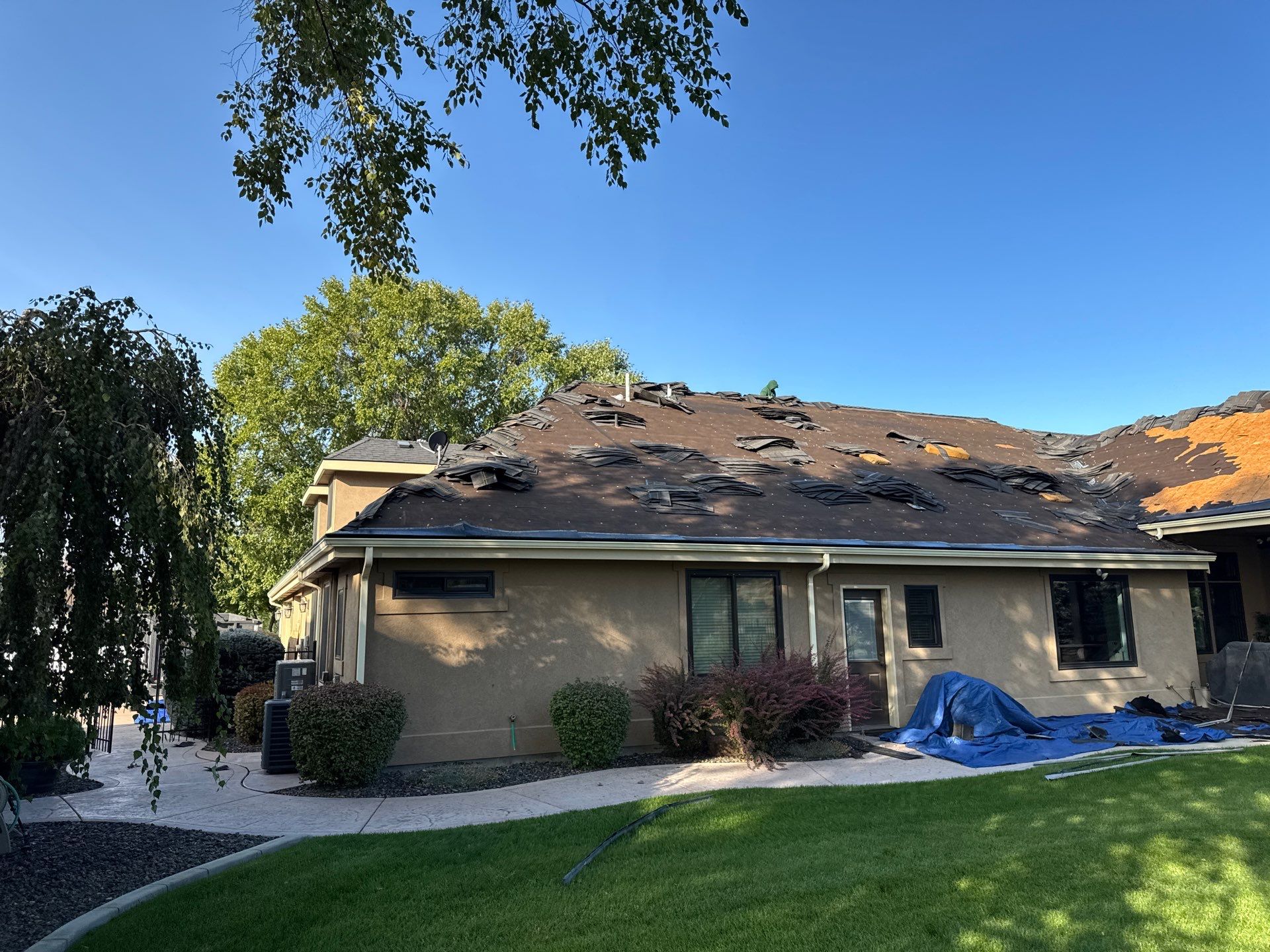 Middleton Residential Roof Replacement with Dark Grey Architectural Shingles by Olive Roofing