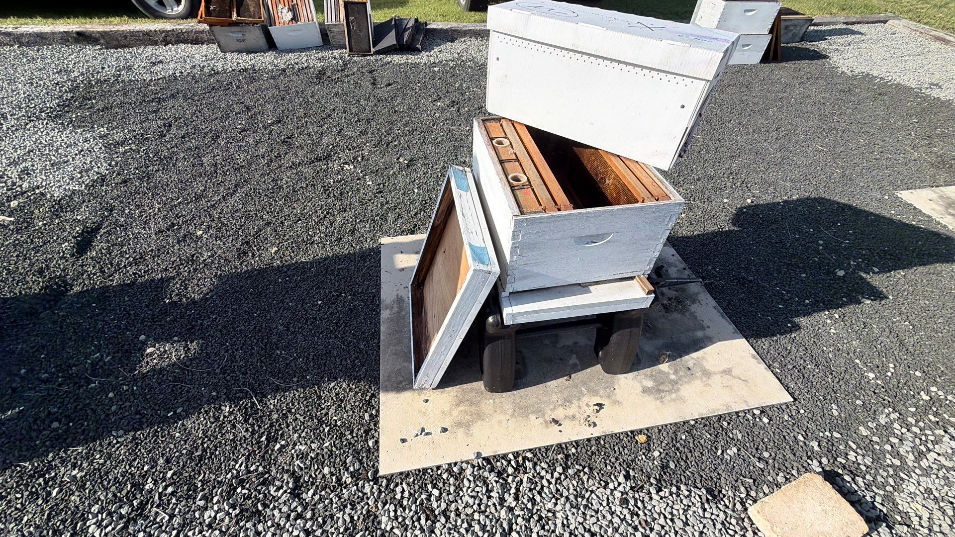 Momma K’s apiary by Rockwall Honey Bee Company