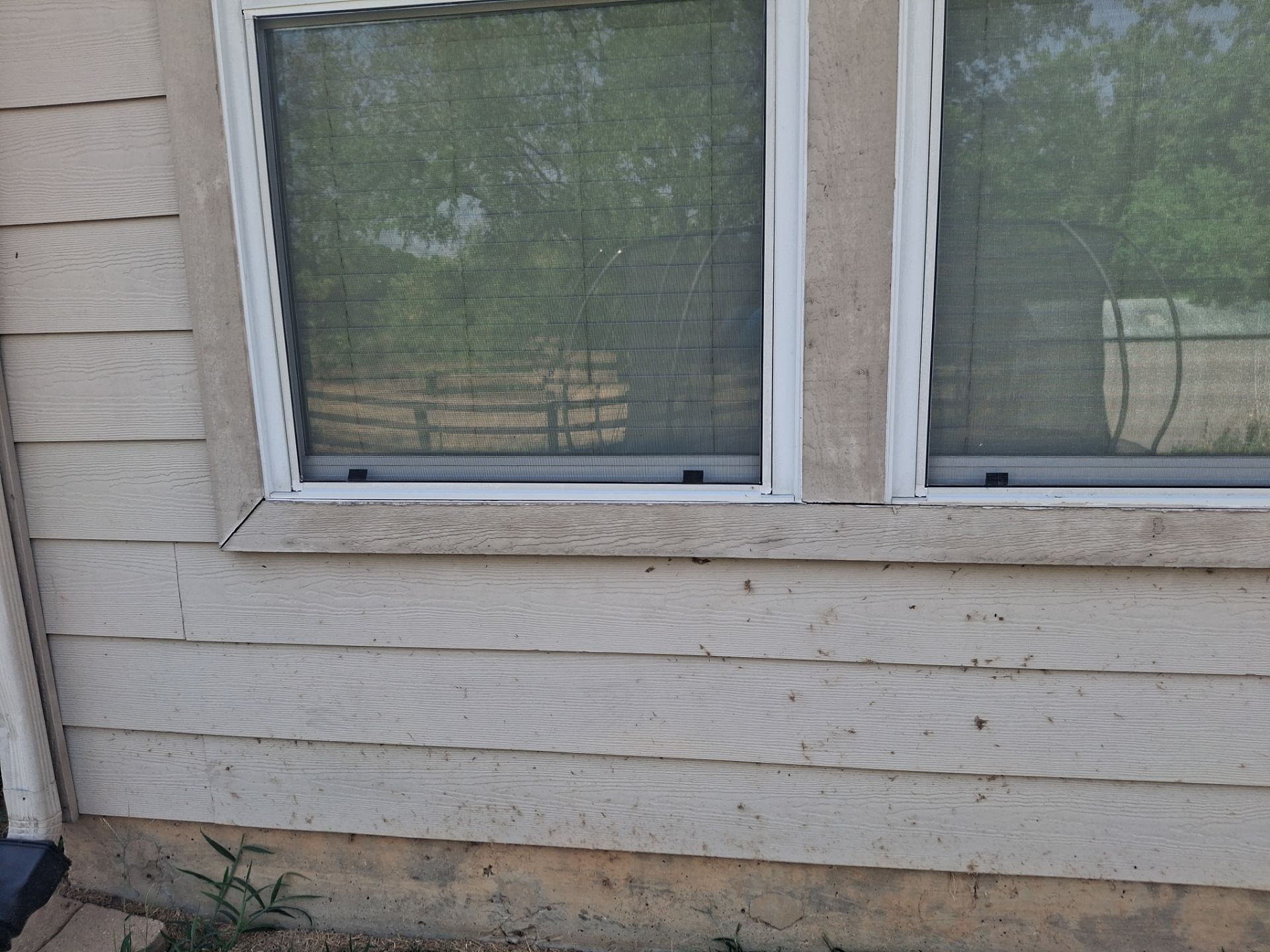 Canton, TX Home Gets a Bold Exterior Paint Update! | Quality Coats Painting by Quality Coats Painting