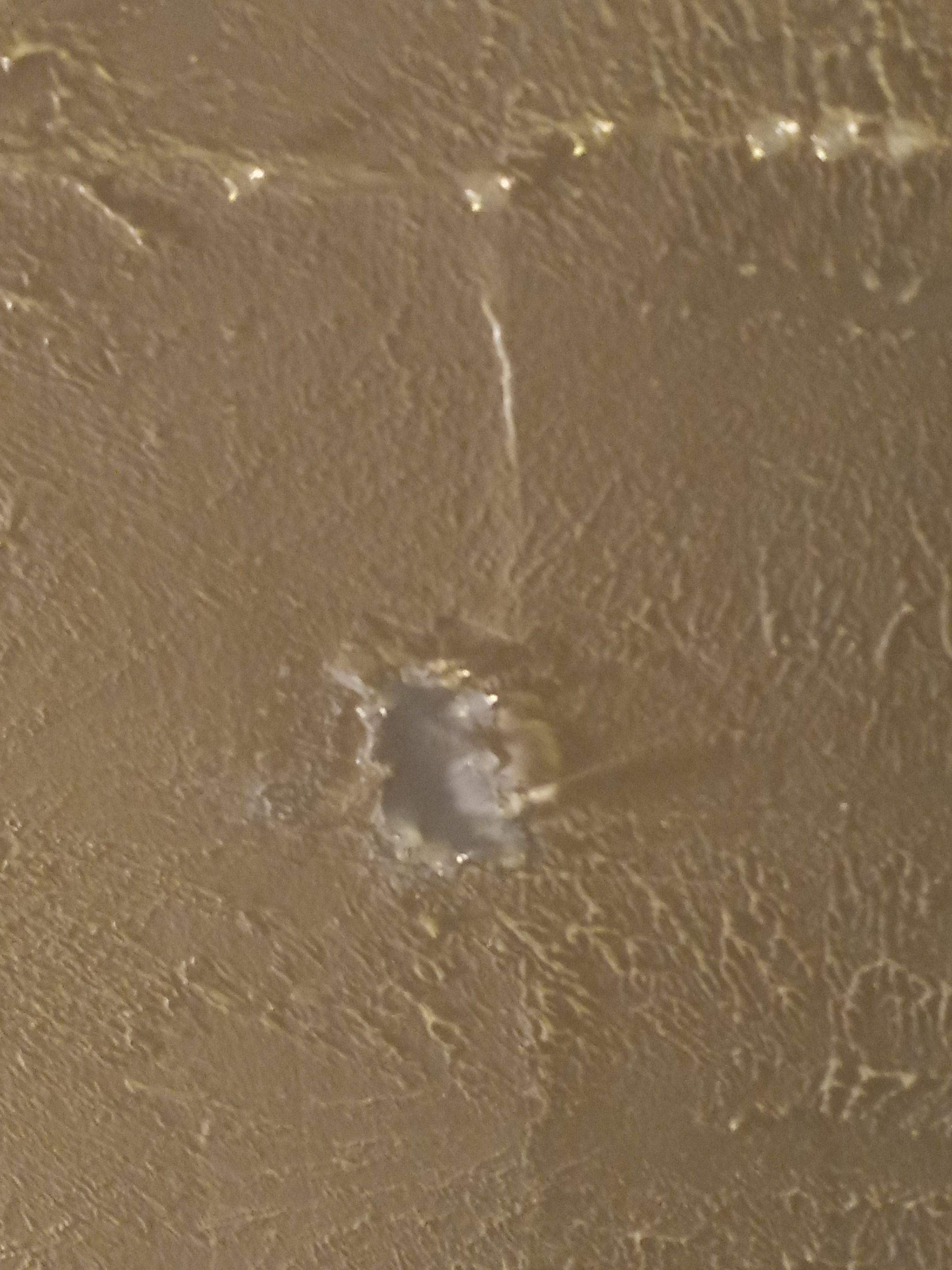 Repair Roof Damages & Interior Damages - Project in Coldspring Texas by Harden Enterprise Services LLC