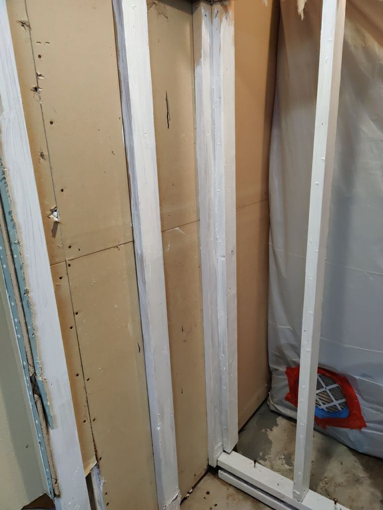 Mold Remediation by Accountable Home Services