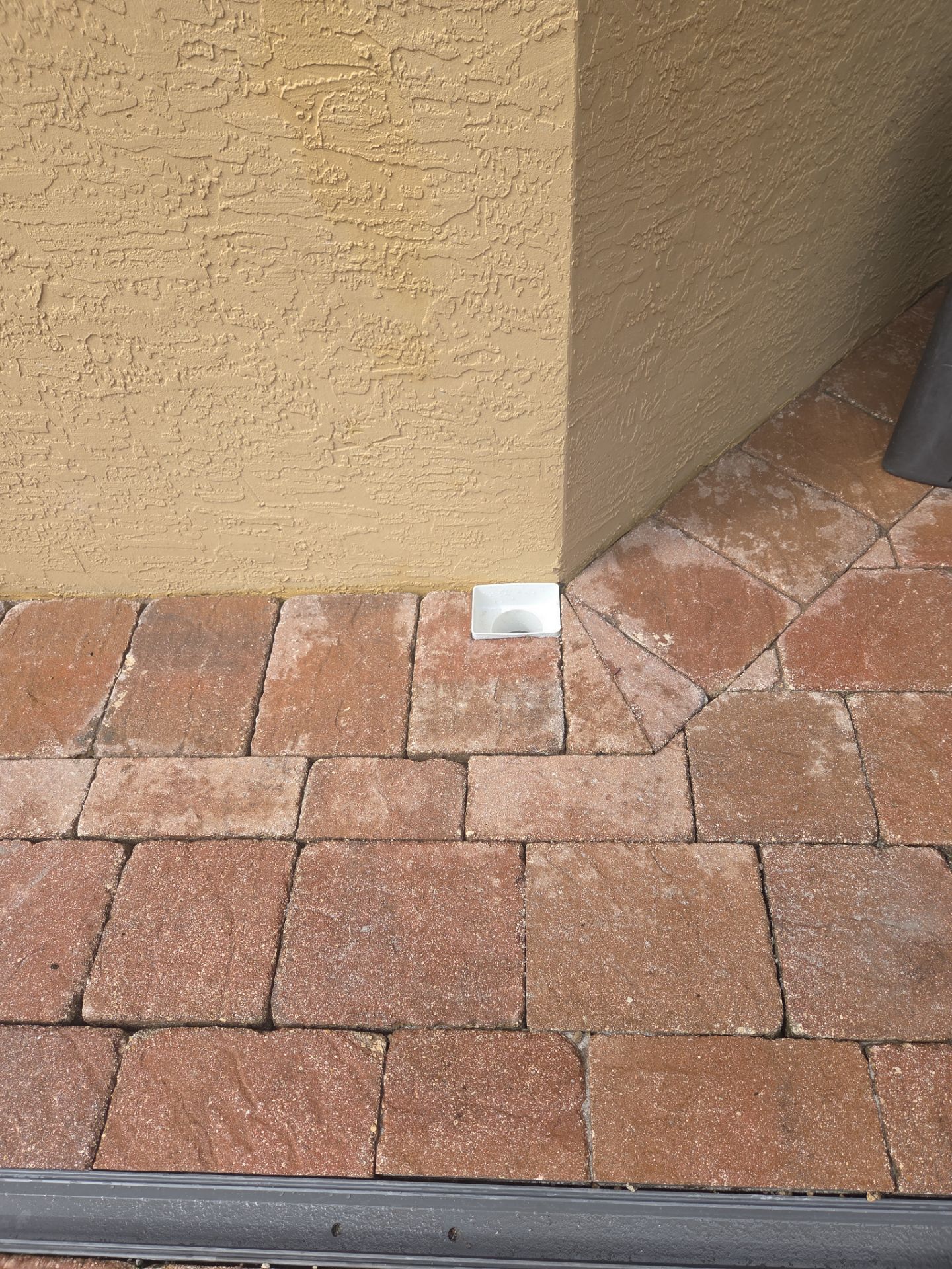 💧 Another Drainage Problem in Palm City... Solved. 💪 by Alpha Zeta Enterprises Inc