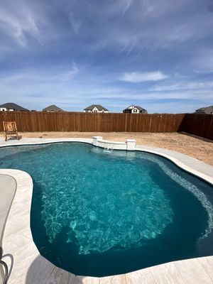 Large Freeform Pool with Tanning Ledge