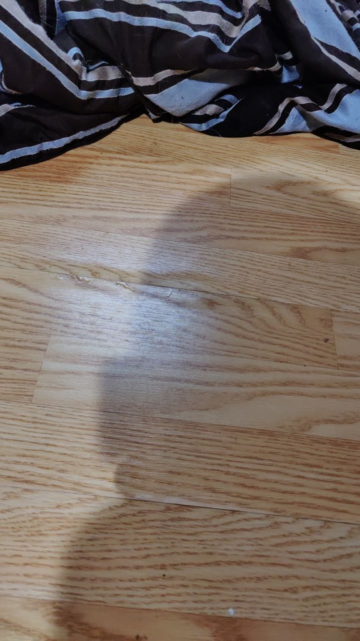 Water Damage by Accountable Home Services