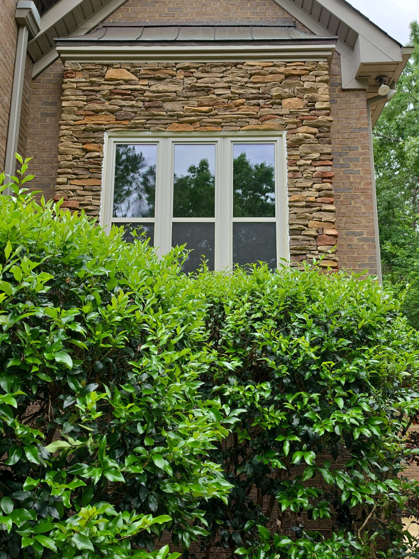 Bruner Project in Helena by The Window Source