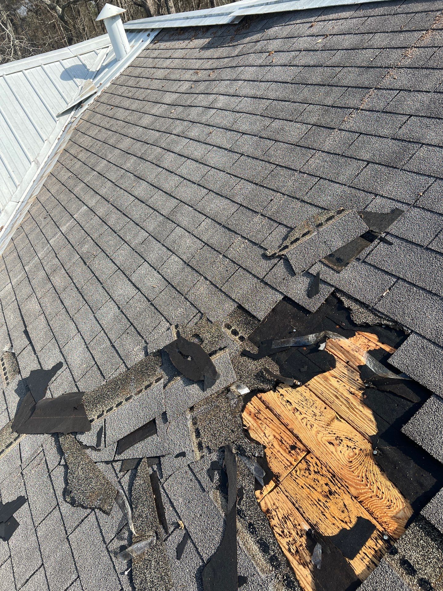 Commercial Metal Roofing Replacement in Adger by The Roofing Dudes