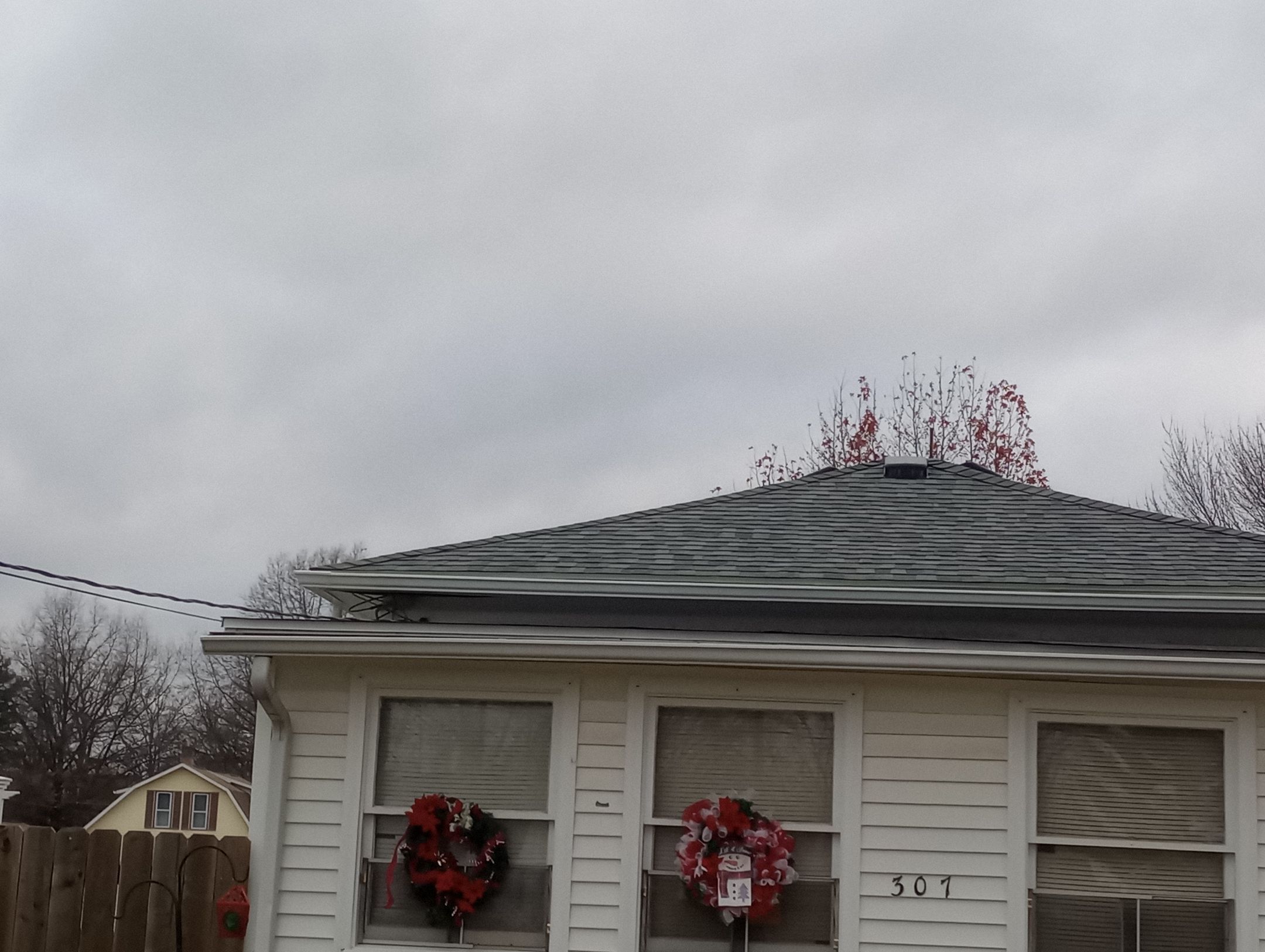 Roger Fitzgerald by Silver Leaf Contracting 