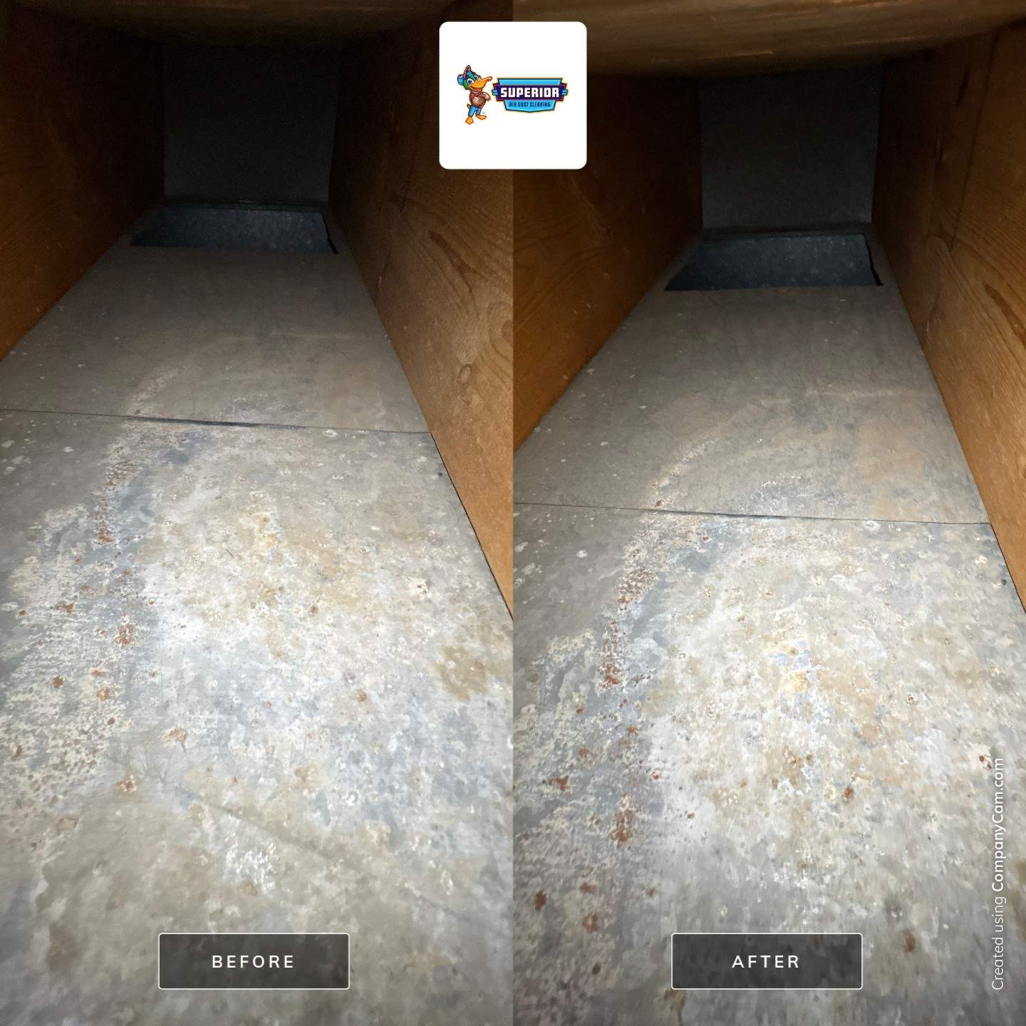 Comprehensive HVAC Air Duct System Cleaning for a Georgetown Home by Superior Air Duct Cleaning