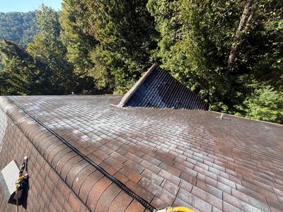 Residential Roof Rejuvenation and Shingle Repair in Weaverville
