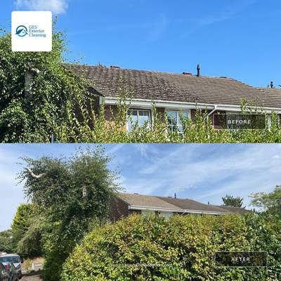 Roof Cleaning and Biocide Treatment using Honda 15lpm Low Pressure Washing Machine