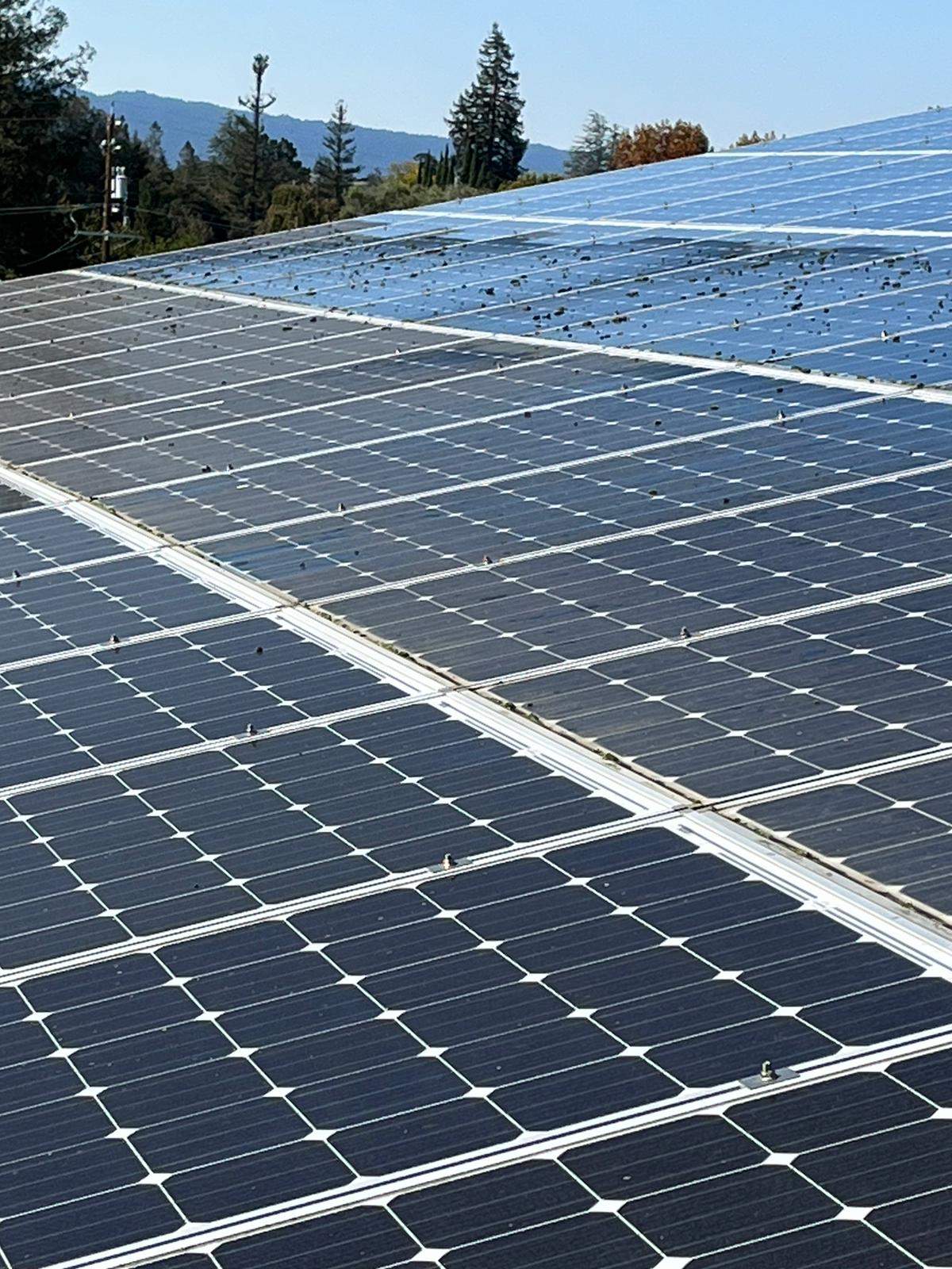 Los Alots Commercial Solar Panel Cleaning by All One Solar Shine