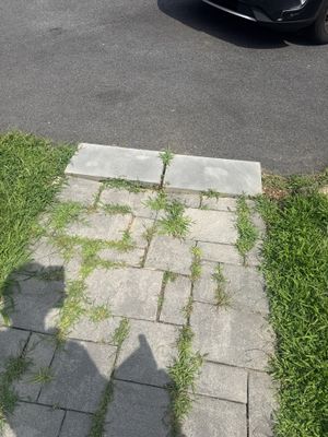 Gutter Cleaning in Wharton, NJ — Gallo Bros job photo