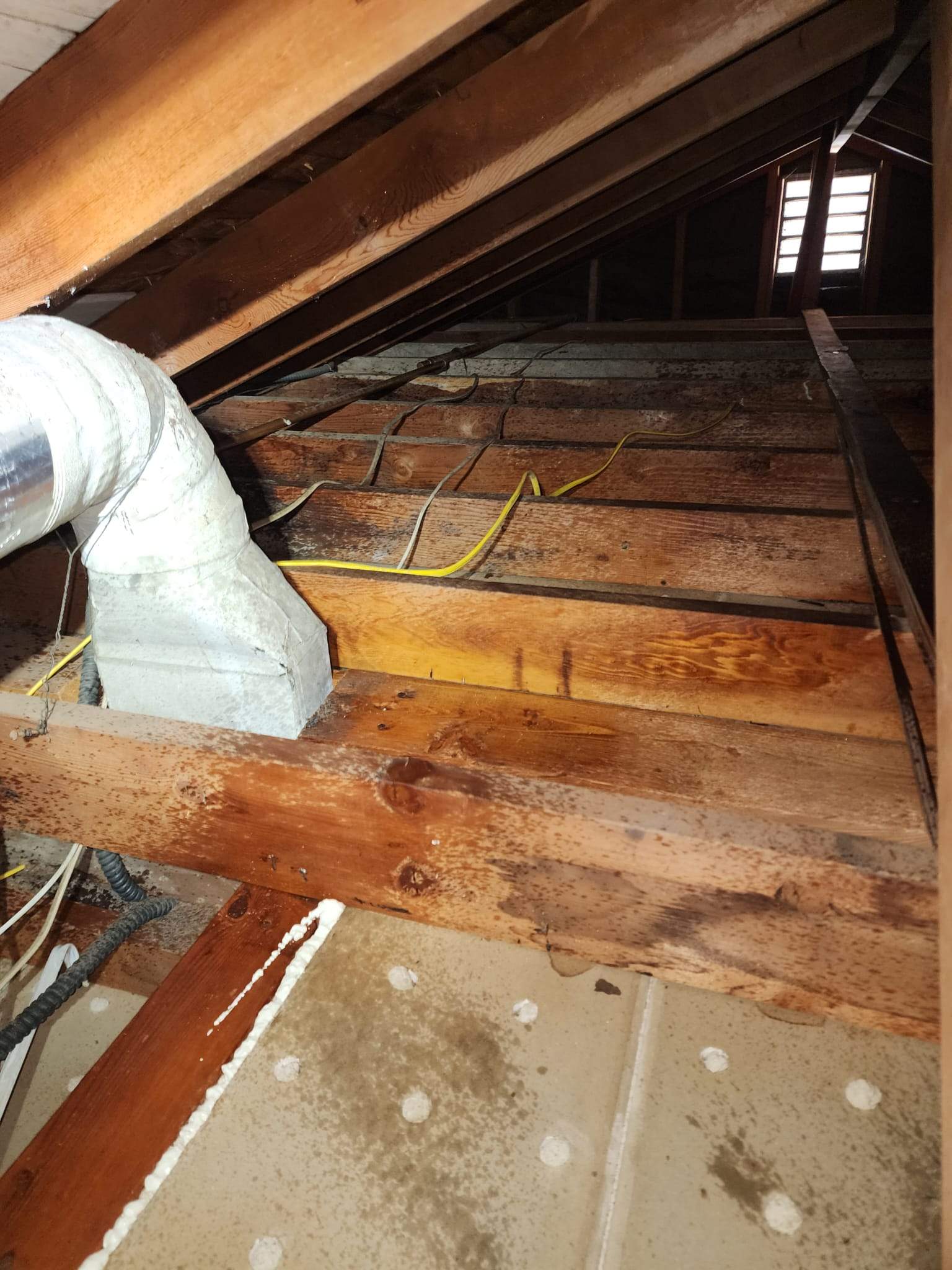 Project by Advanced Attic Solutions by Advanced Attic Solutions