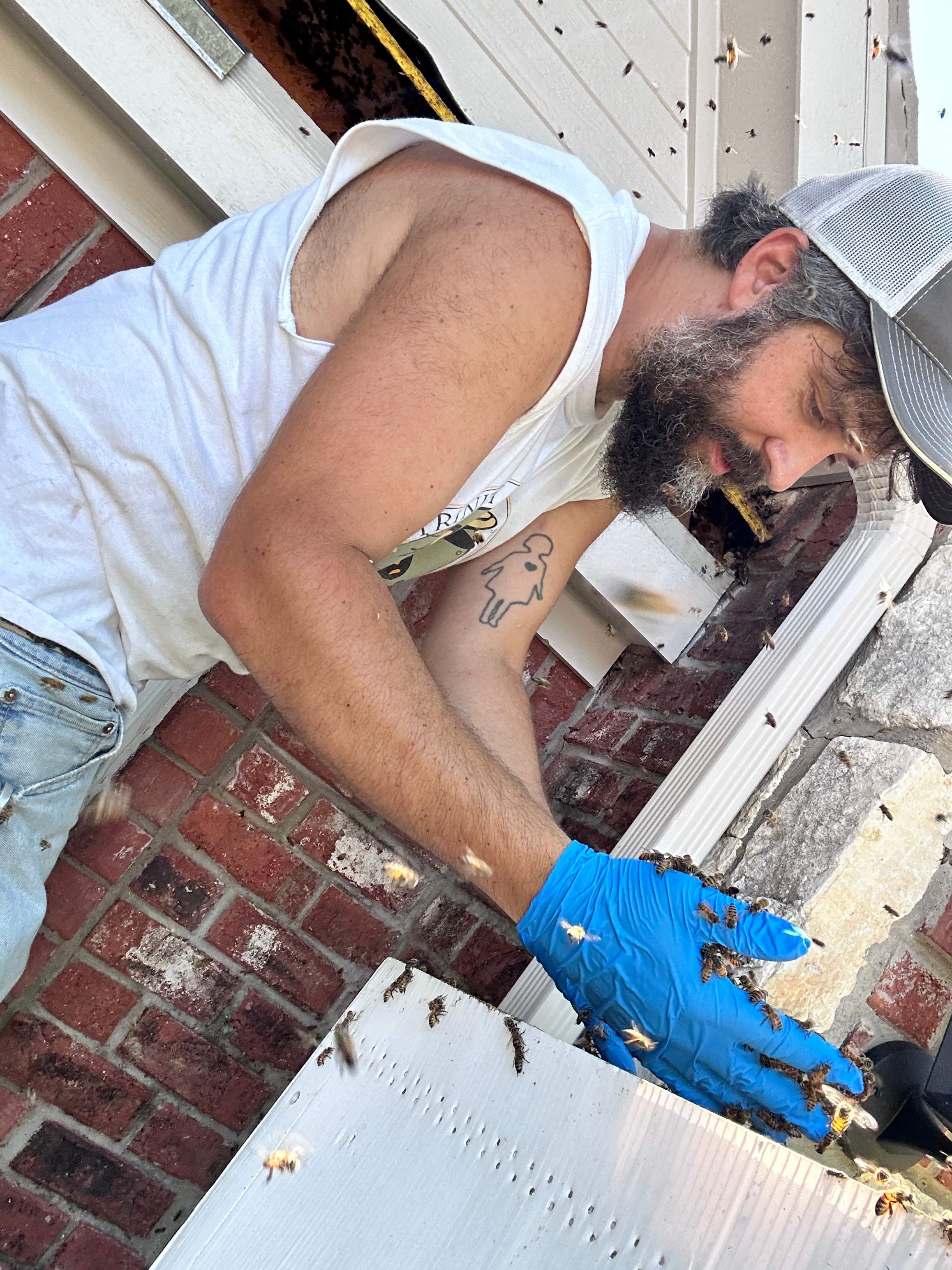 Dormer Window by Rockwall Honey Bee Company