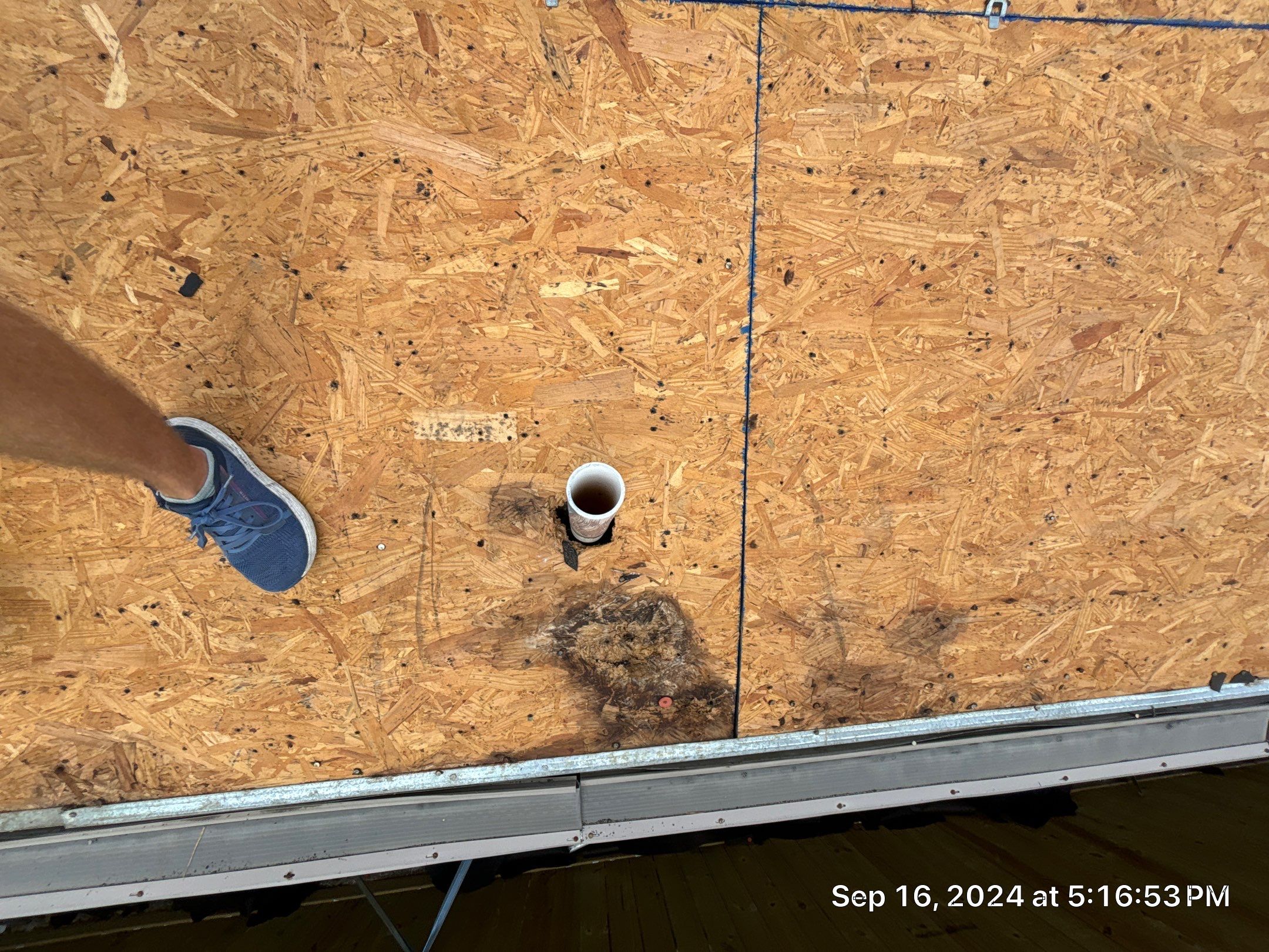 Reroof Project (Post Hurricane Beryl) by Berry Good Roofing 