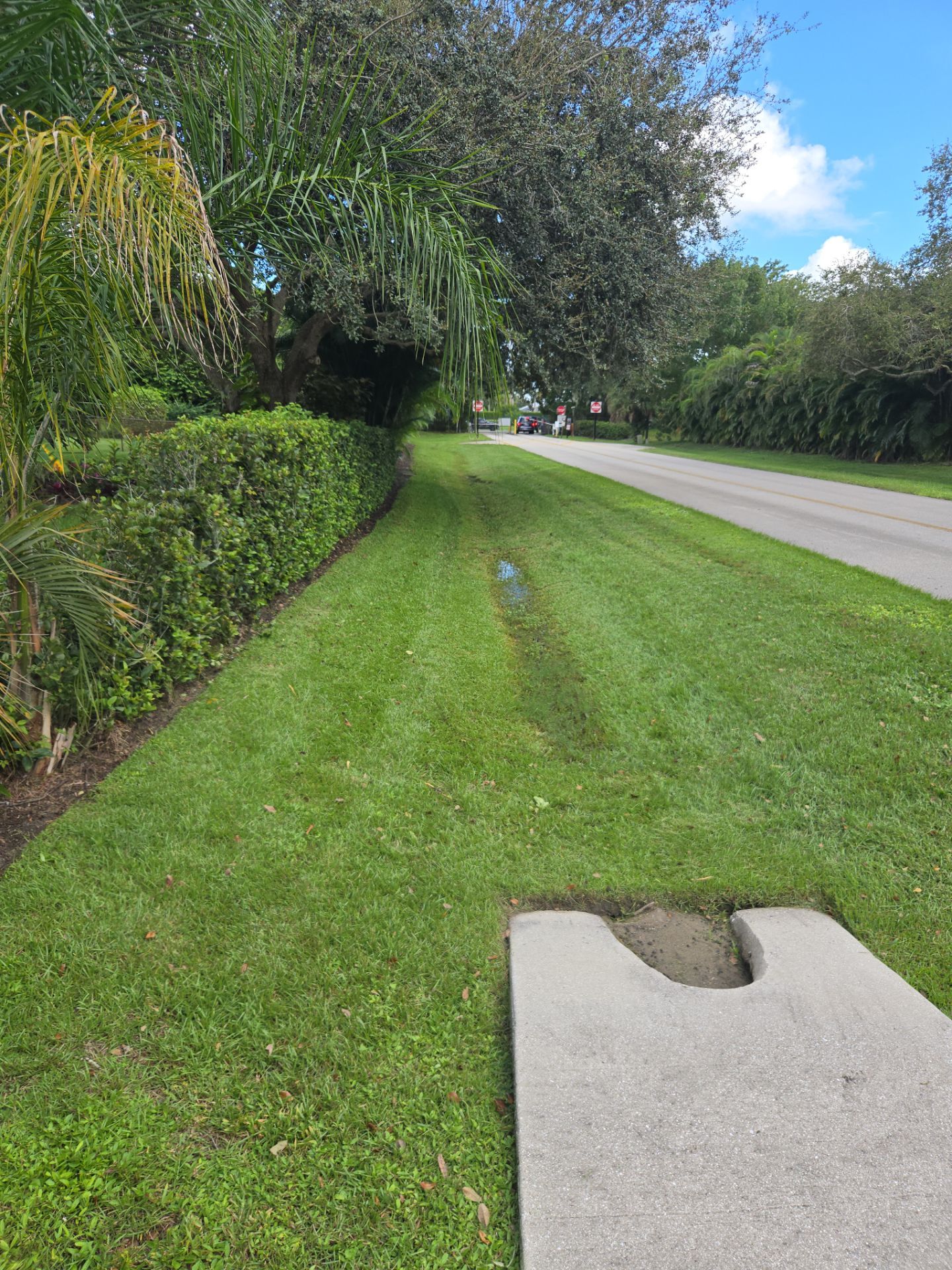 🌴✨ “Crane Creek Snip, Tip & Tune-Up” ✨🌴 by Alpha Zeta Enterprises Inc