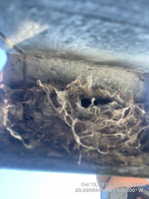 Dryer Vent Cleaning in Clermont