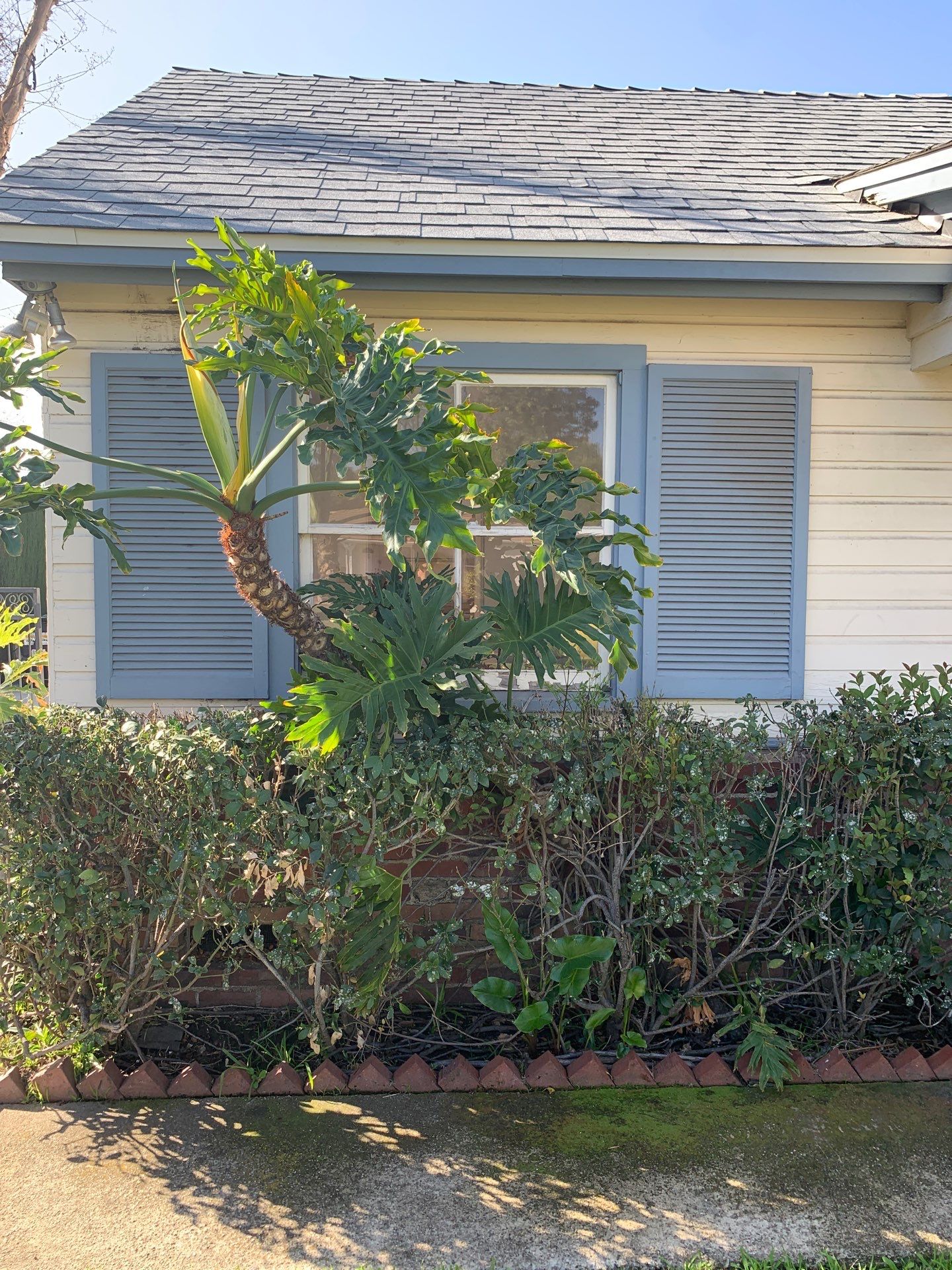 Window Installation using Vinyl Windows by American Window Company