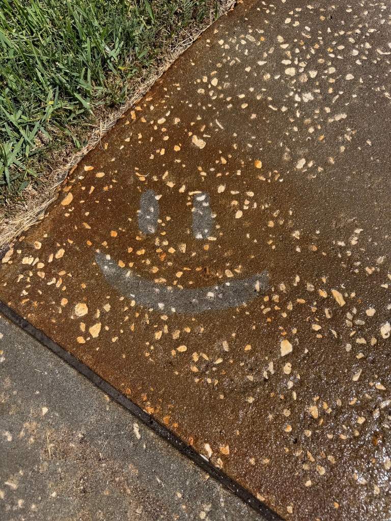 Professional Rust Removal for Concrete Sidewalk in Sun City Center by Supreme Paver Experts
