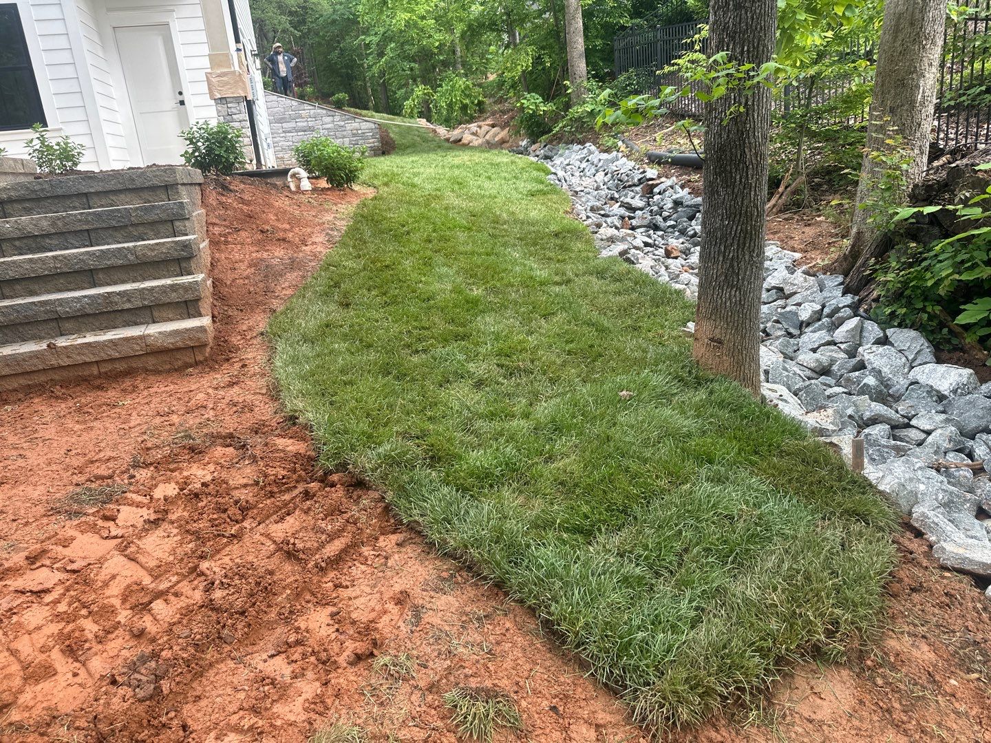 New Construction in Denver by Growing Edge Landscape & Design, Inc.