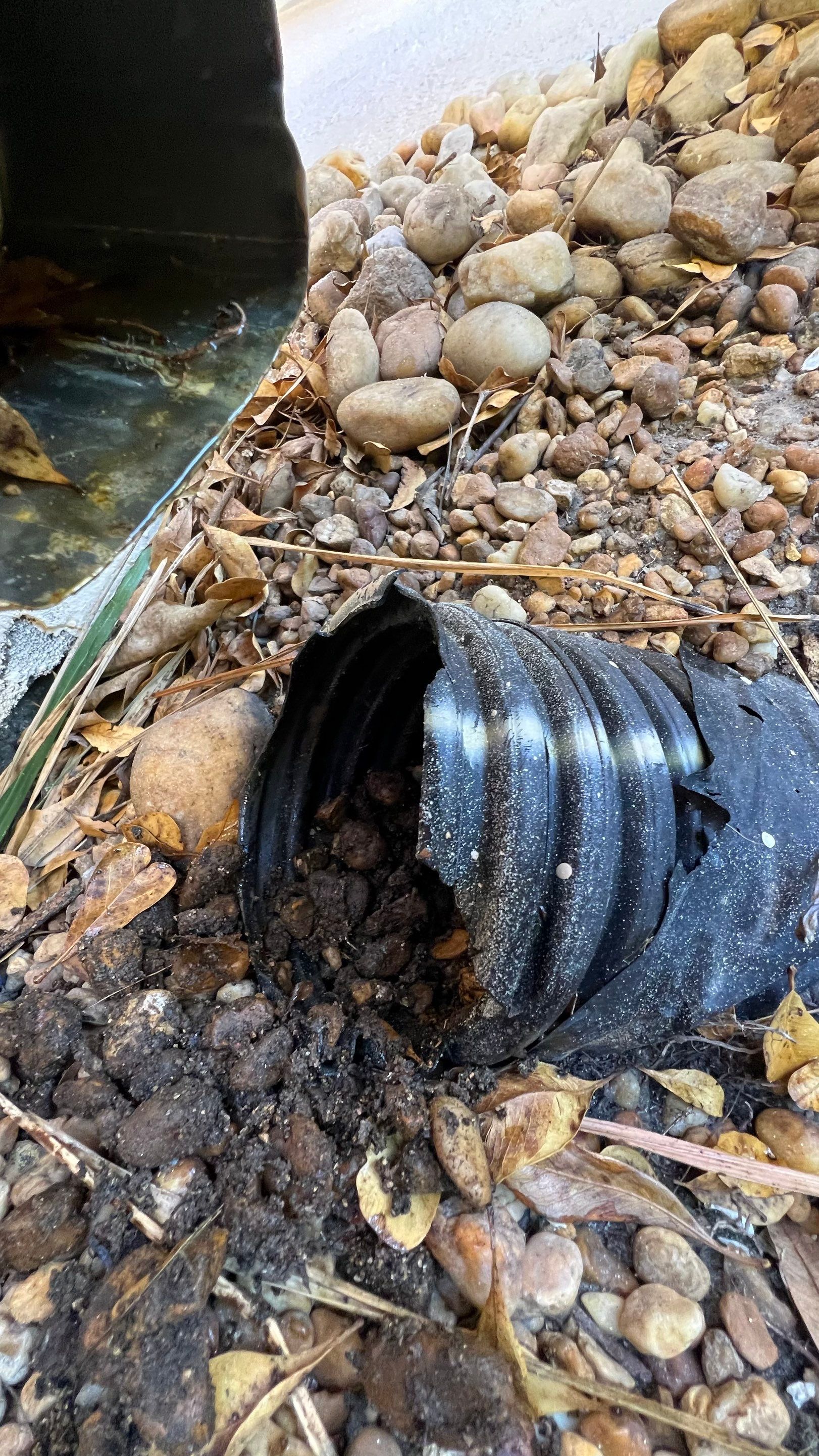 Condo Gutter System Jetting by Don Mar, Inc. Storm Water Solutions